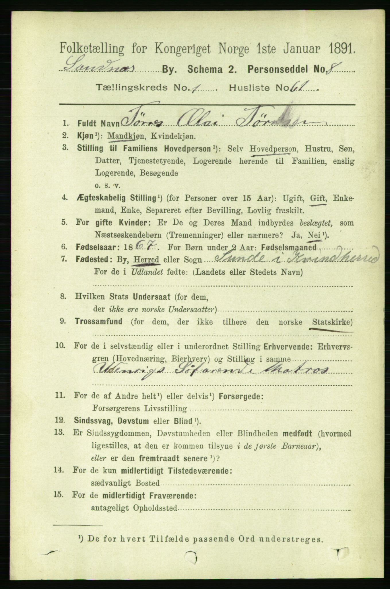 RA, 1891 census for 1102 Sandnes, 1891, p. 928