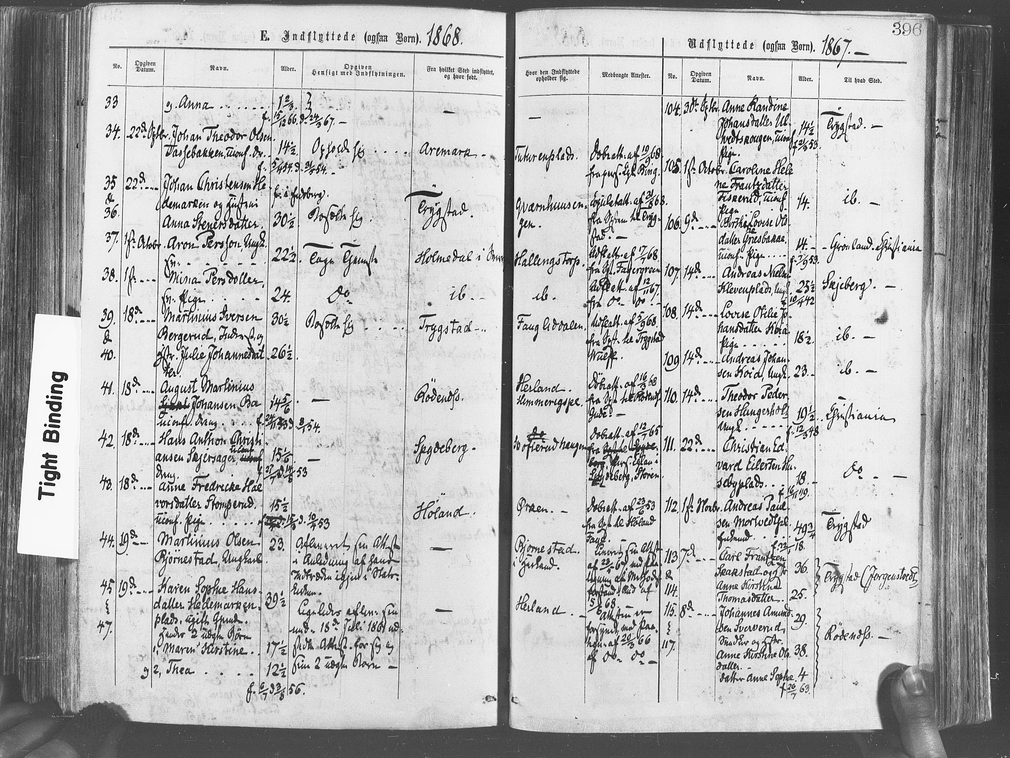Eidsberg prestekontor Kirkebøker, AV/SAO-A-10905/F/Fa/L0011: Parish register (official) no. I 11, 1867-1878, p. 396