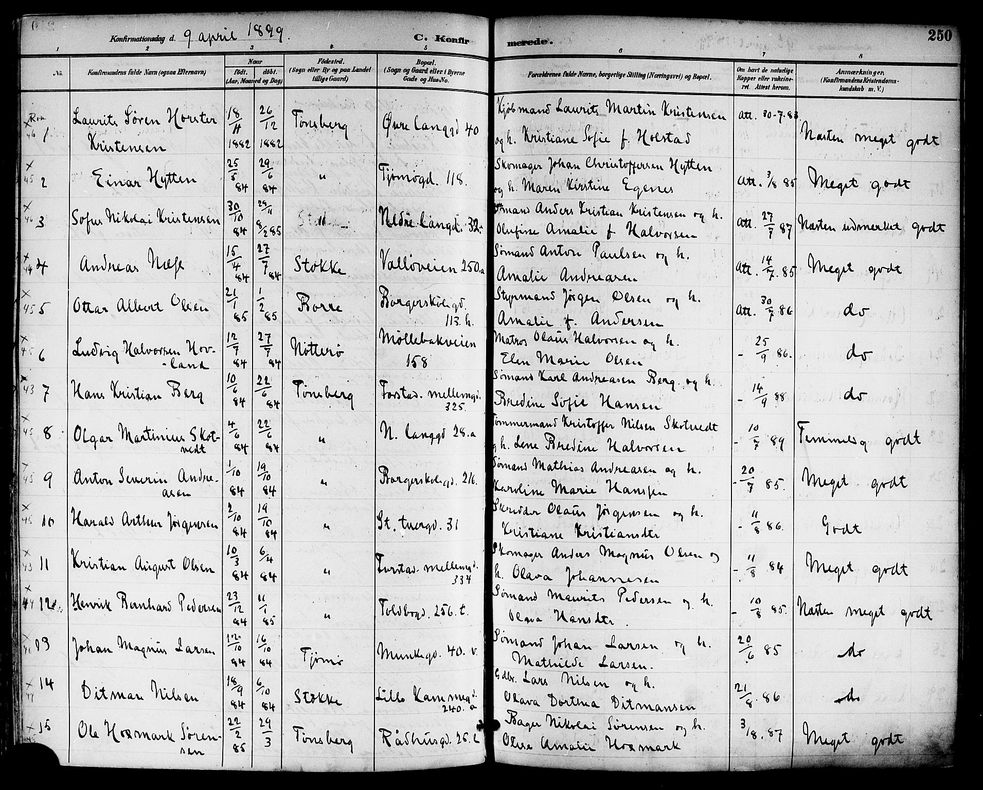 Tønsberg kirkebøker, SAKO/A-330/F/Fa/L0012: Parish register (official) no. I 12, 1891-1899, p. 250
