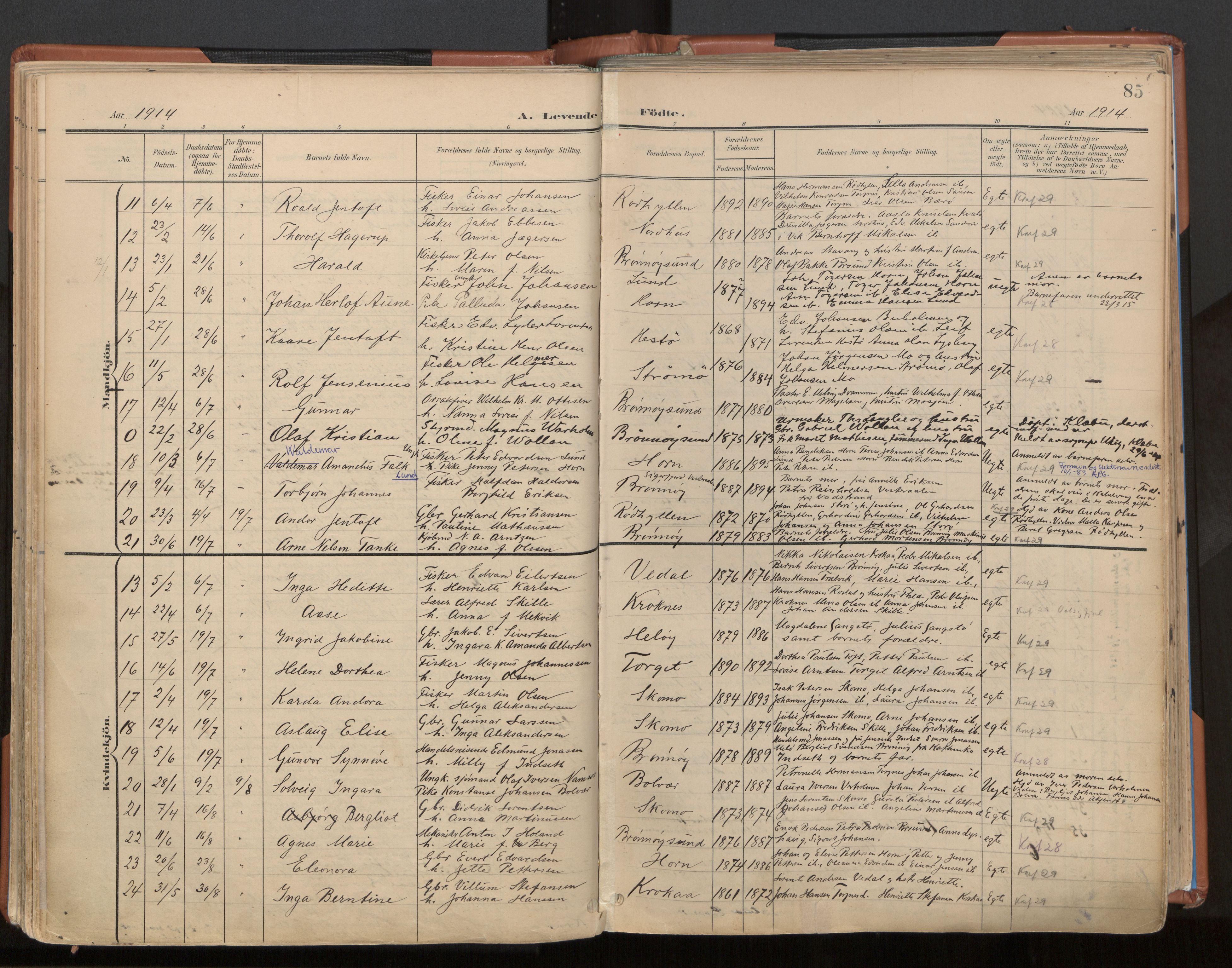 Ministerialprotokoller, klokkerbøker og fødselsregistre - Nordland, AV/SAT-A-1459/813/L0201: Parish register (official) no. 813A11, 1901-1918, p. 85