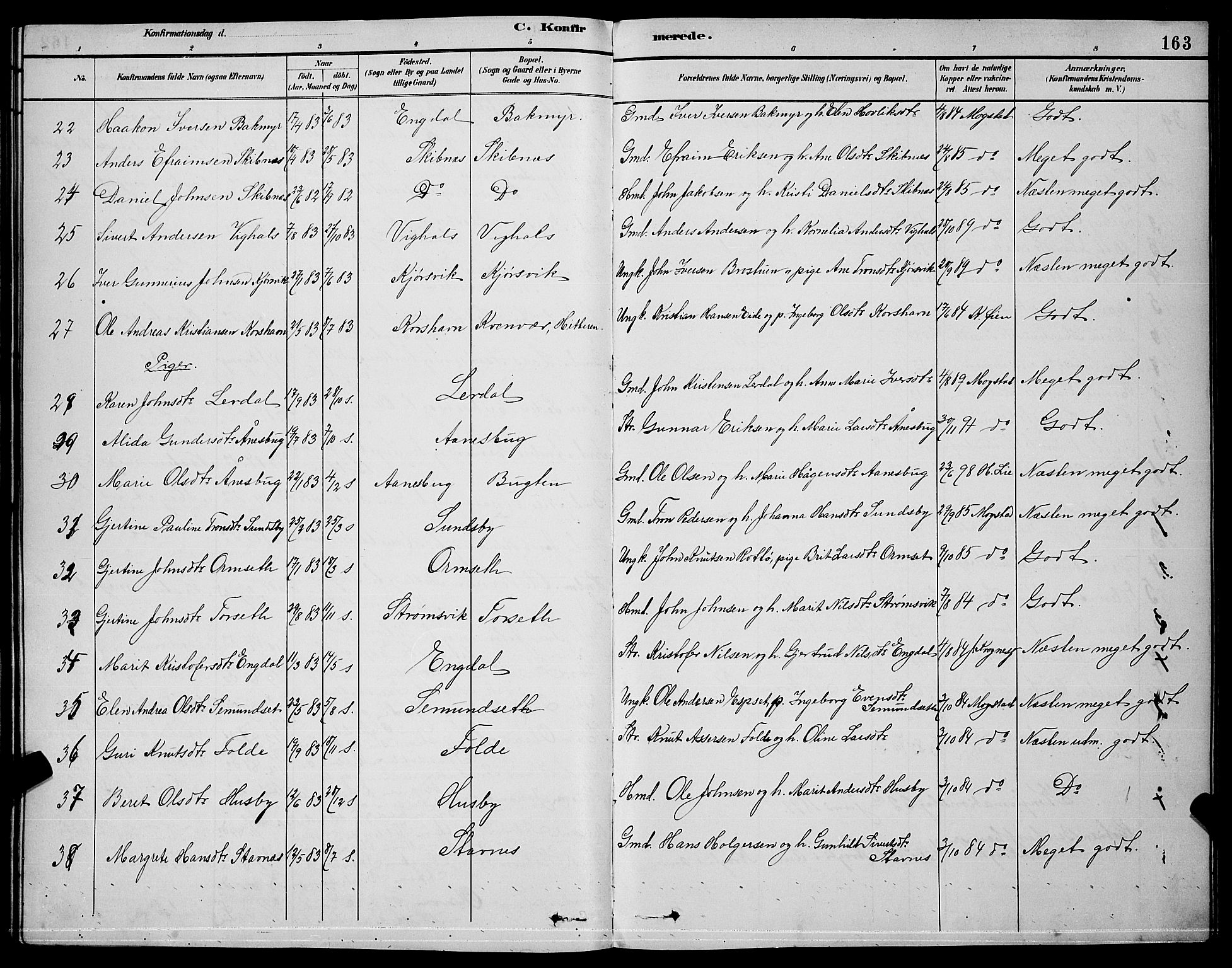 Ministerialprotokoller, klokkerbøker og fødselsregistre - Møre og Romsdal, AV/SAT-A-1454/578/L0909: Parish register (copy) no. 578C02, 1882-1900, p. 163