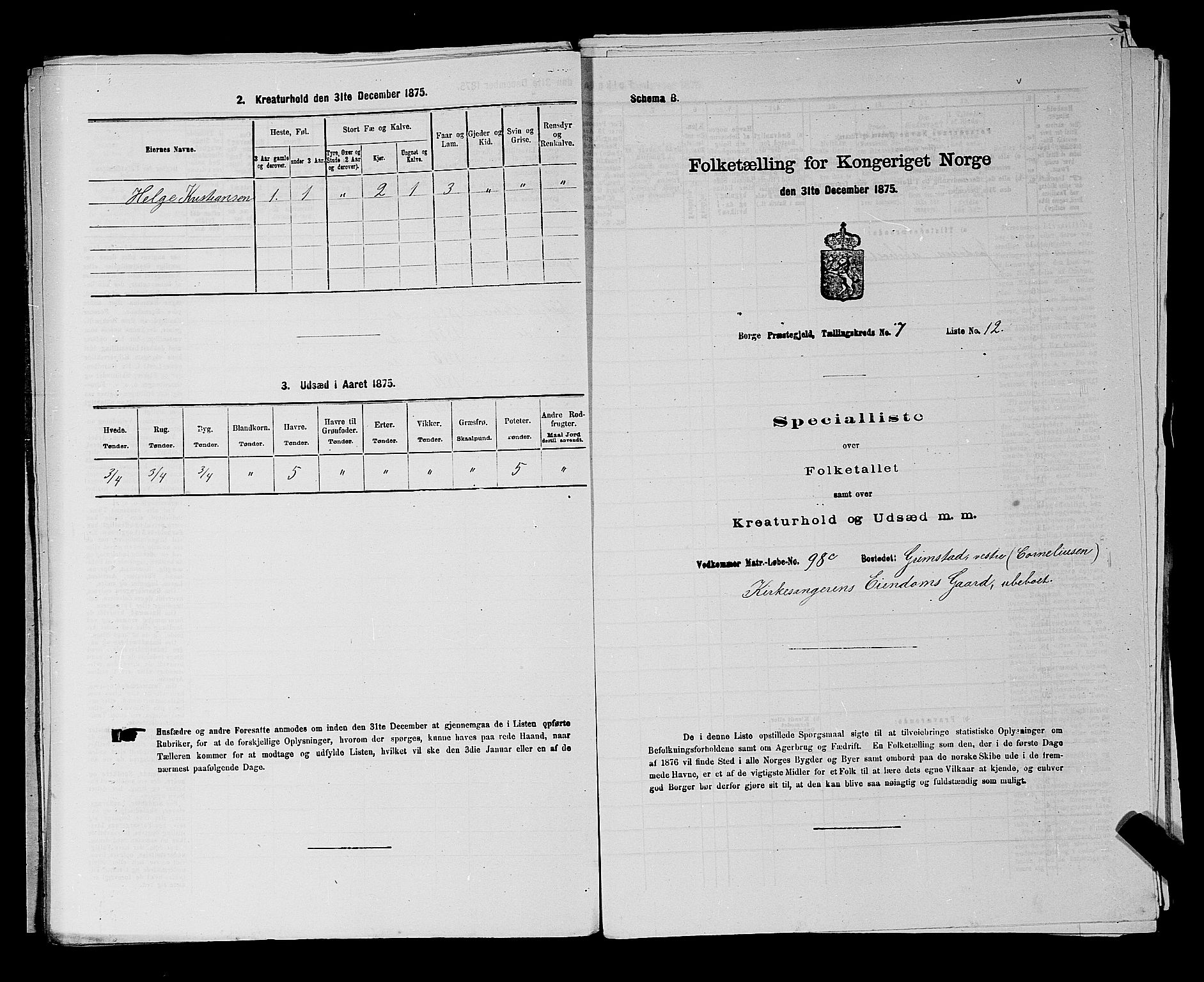 RA, 1875 census for 0113P Borge, 1875, p. 983