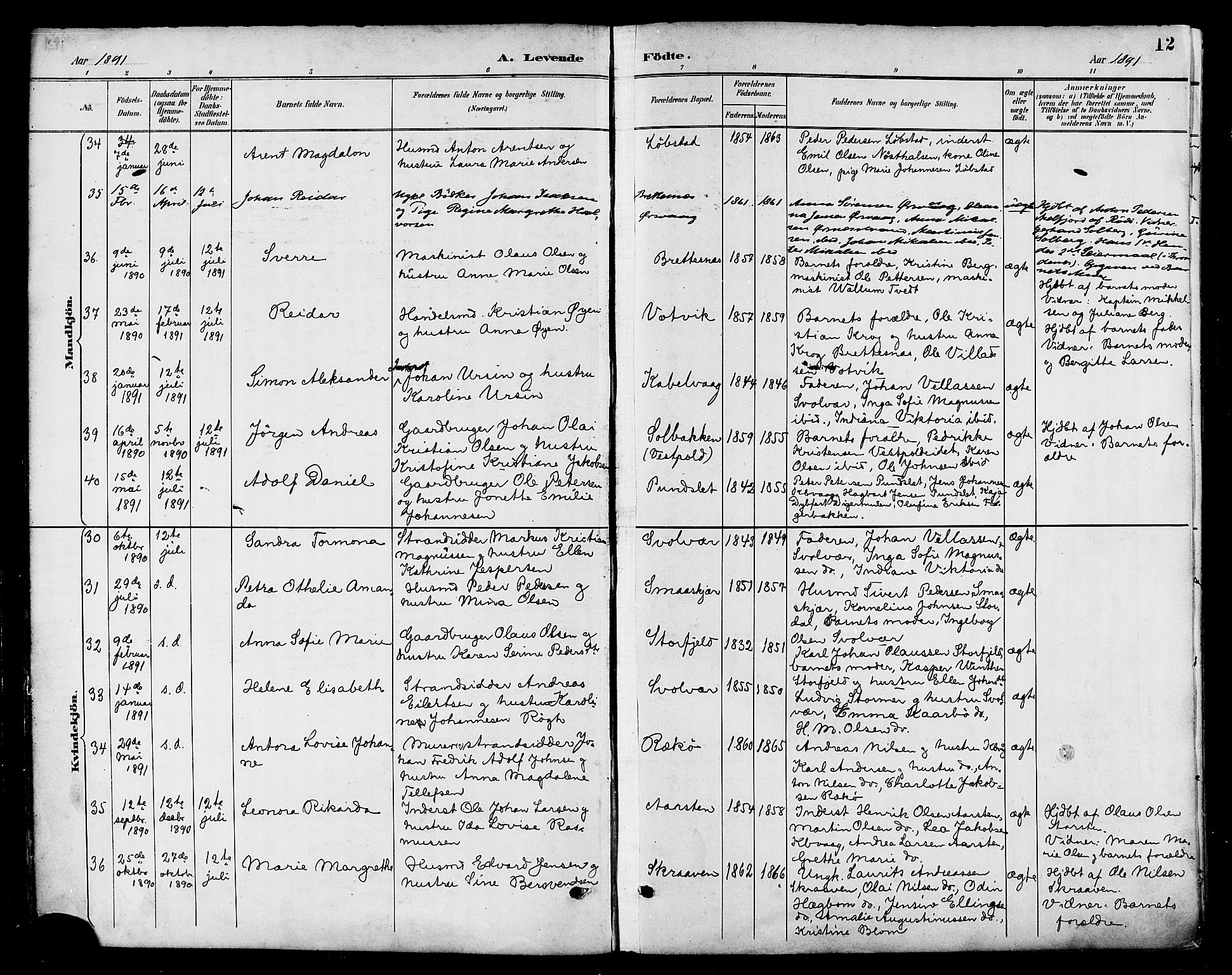 Ministerialprotokoller, klokkerbøker og fødselsregistre - Nordland, AV/SAT-A-1459/874/L1060: Parish register (official) no. 874A04, 1890-1899, p. 12