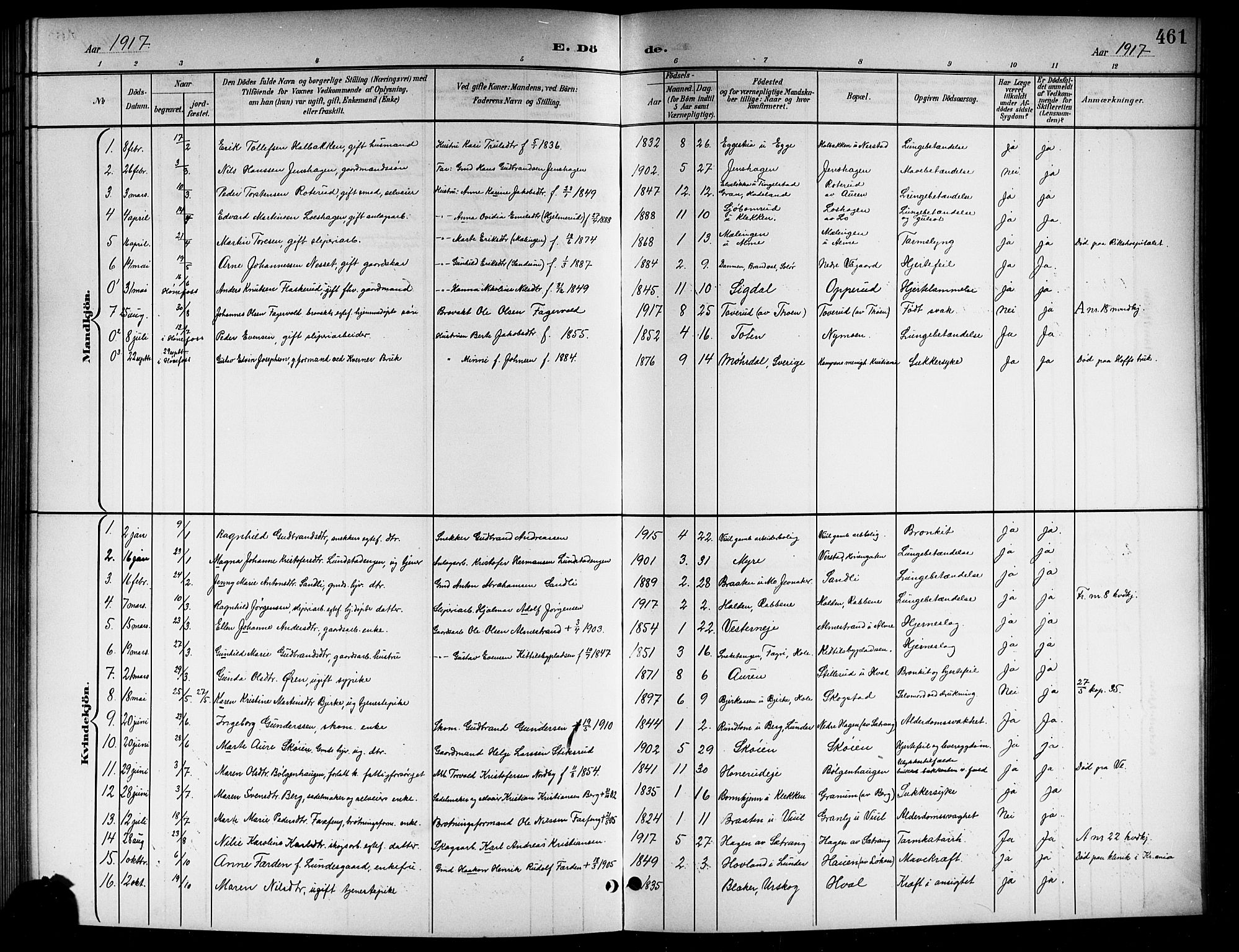 Norderhov kirkebøker, AV/SAKO-A-237/G/Gb/L0002: Parish register (copy) no. II 2, 1891-1921, p. 461