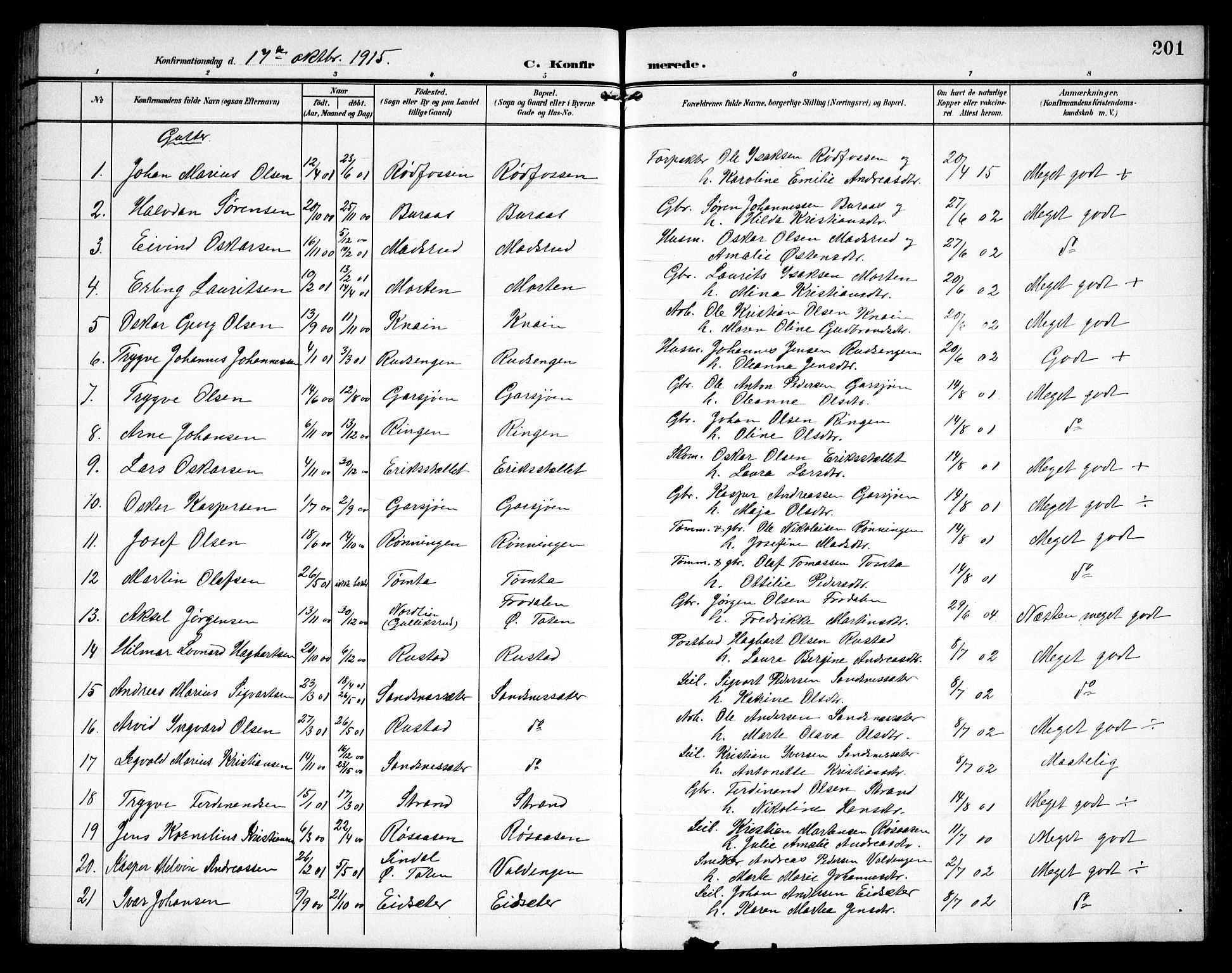 Hurdal prestekontor Kirkebøker, AV/SAO-A-10889/G/Ga/L0001: Parish register (copy) no. I 1, 1902-1934, p. 201