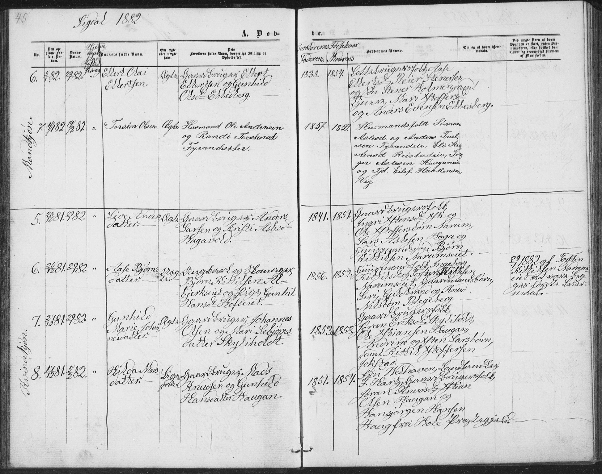 Sigdal kirkebøker, AV/SAKO-A-245/G/Ga/L0004: Parish register (copy) no. I 4, 1879-1885, p. 45
