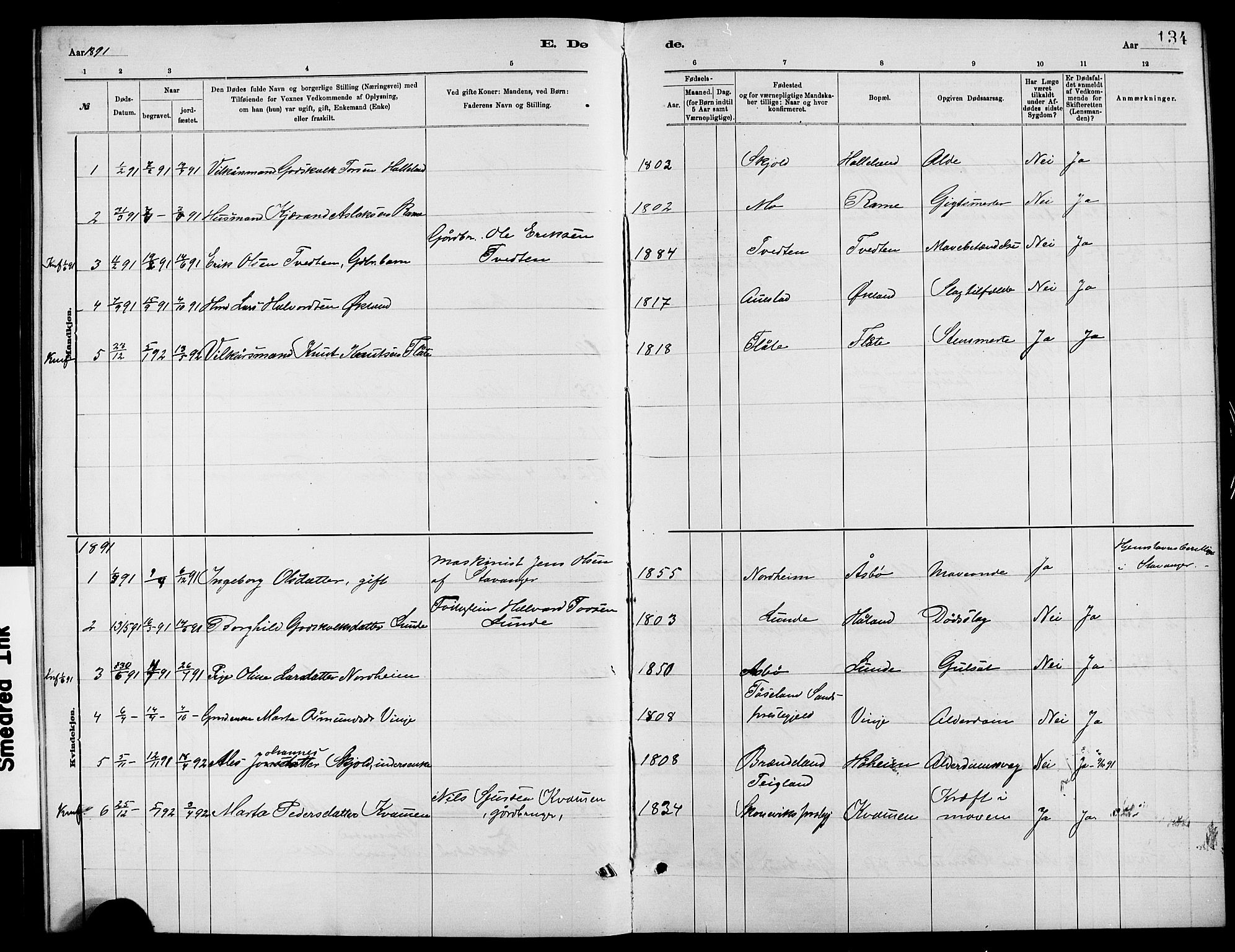 Etne sokneprestembete, SAB/A-75001/H/Hab: Parish register (copy) no. C 4, 1879-1896, p. 134