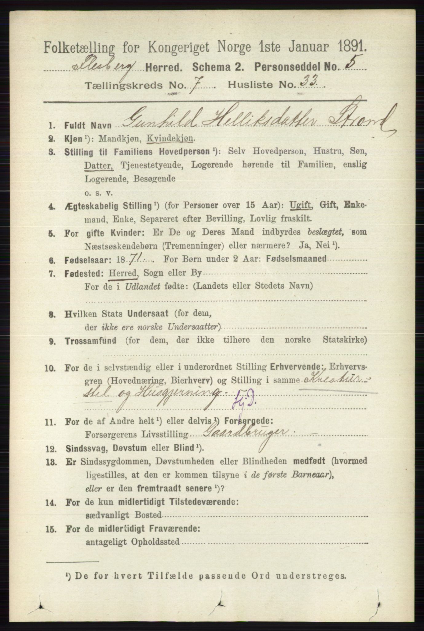 RA, 1891 census for 0631 Flesberg, 1891, p. 1313