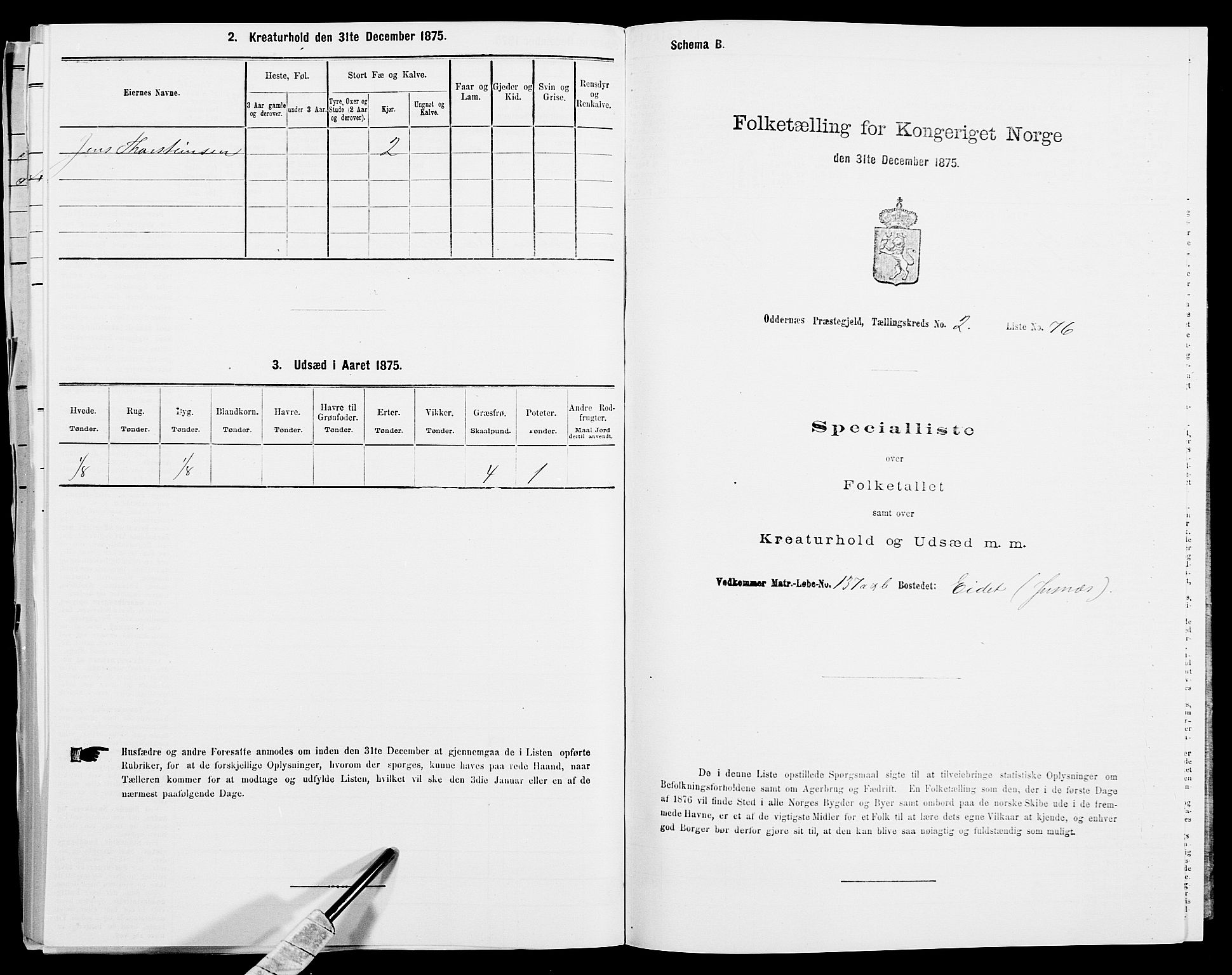 SAK, 1875 census for 1012P Oddernes, 1875, p. 429