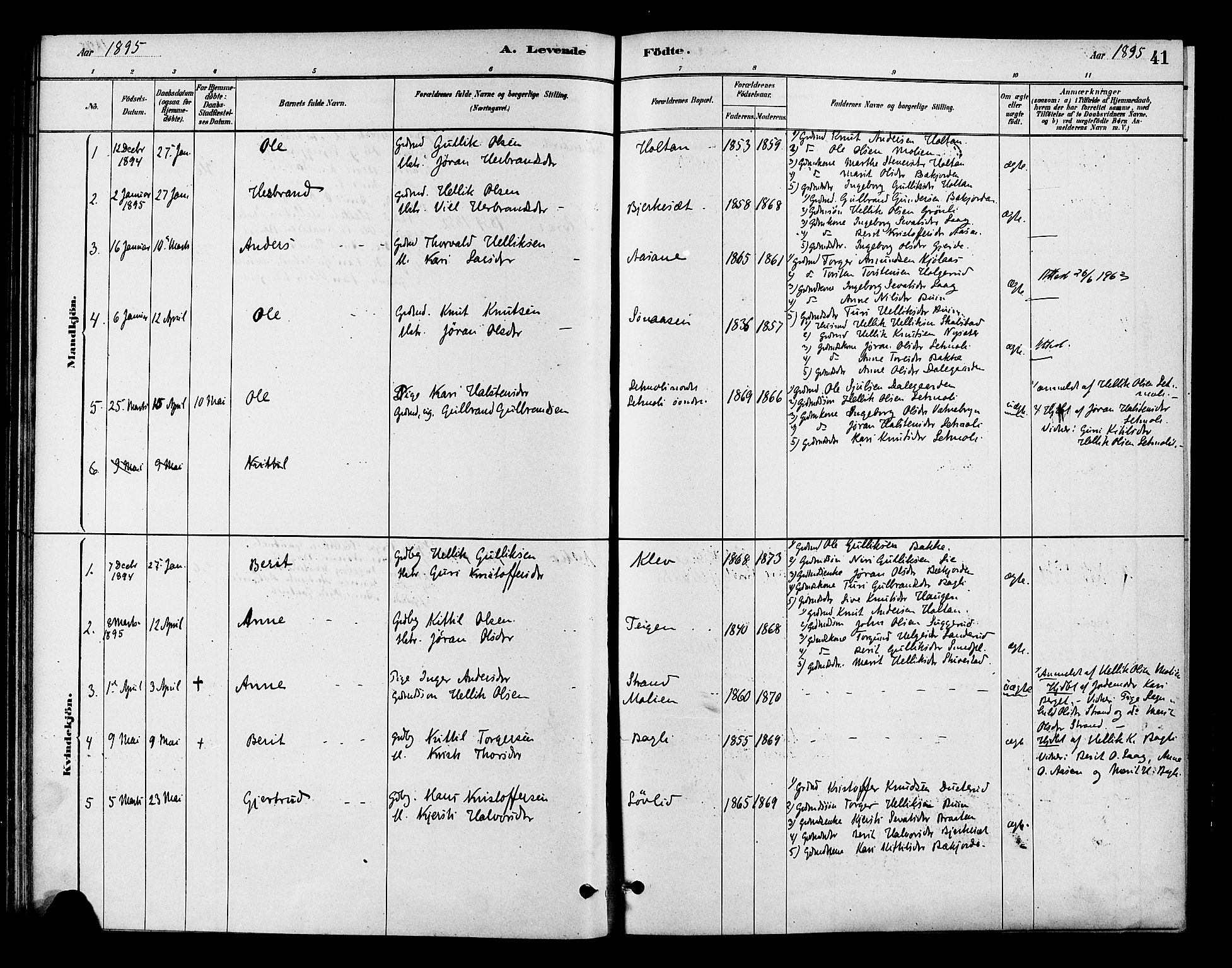 Flesberg kirkebøker, SAKO/A-18/F/Fc/L0001: Parish register (official) no. III 1, 1879-1905, p. 41