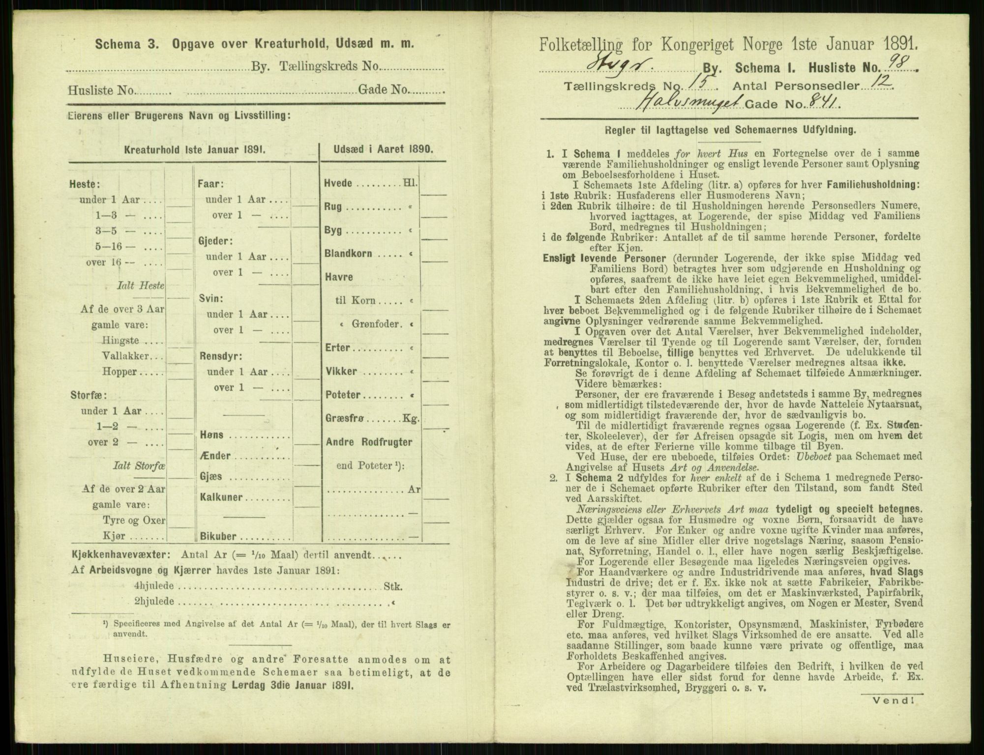 RA, 1891 census for 1103 Stavanger, 1891, p. 2983