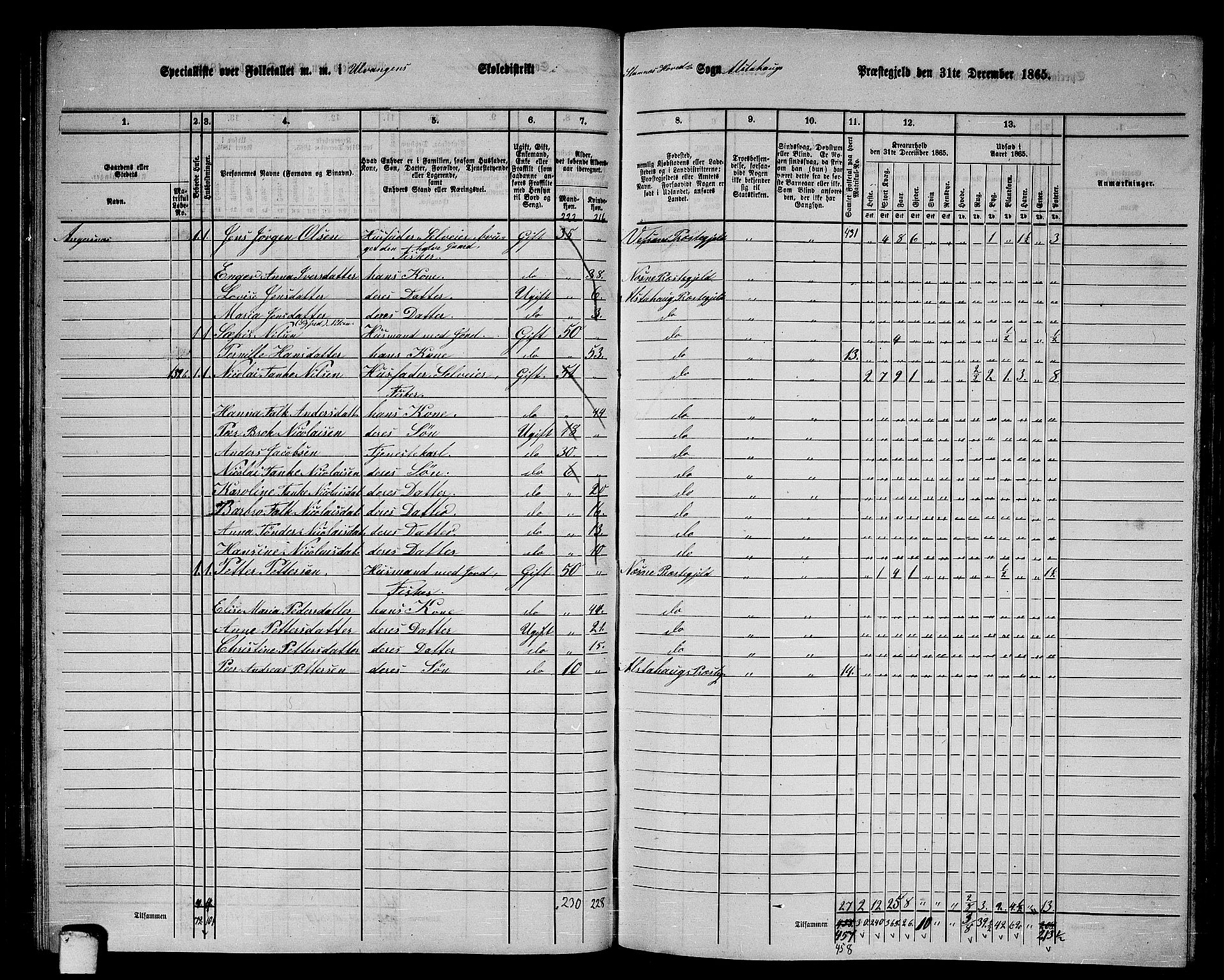 RA, 1865 census for Alstahaug, 1865, p. 100