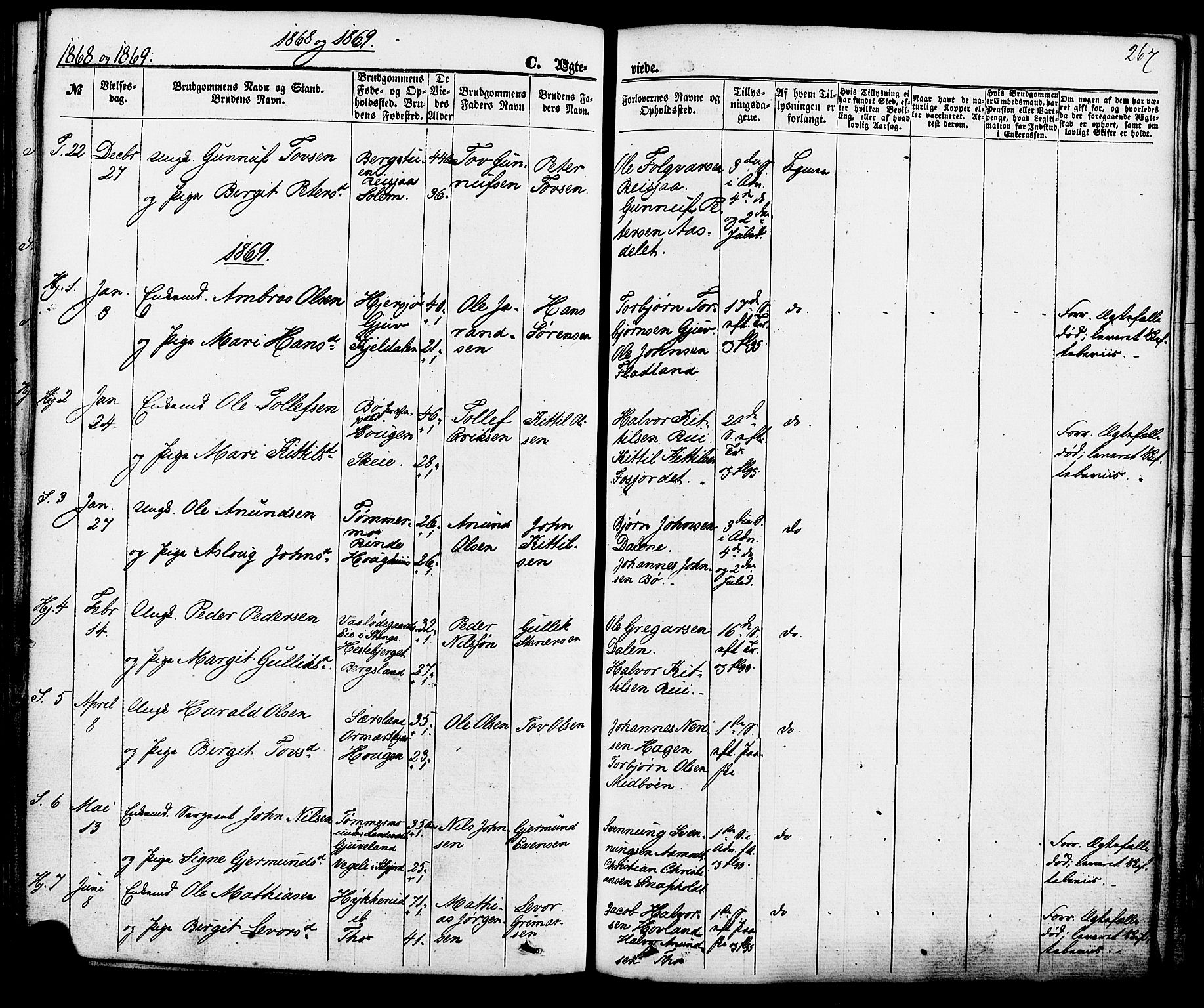 Hjartdal kirkebøker, SAKO/A-270/F/Fa/L0009: Parish register (official) no. I 9, 1860-1879, p. 267