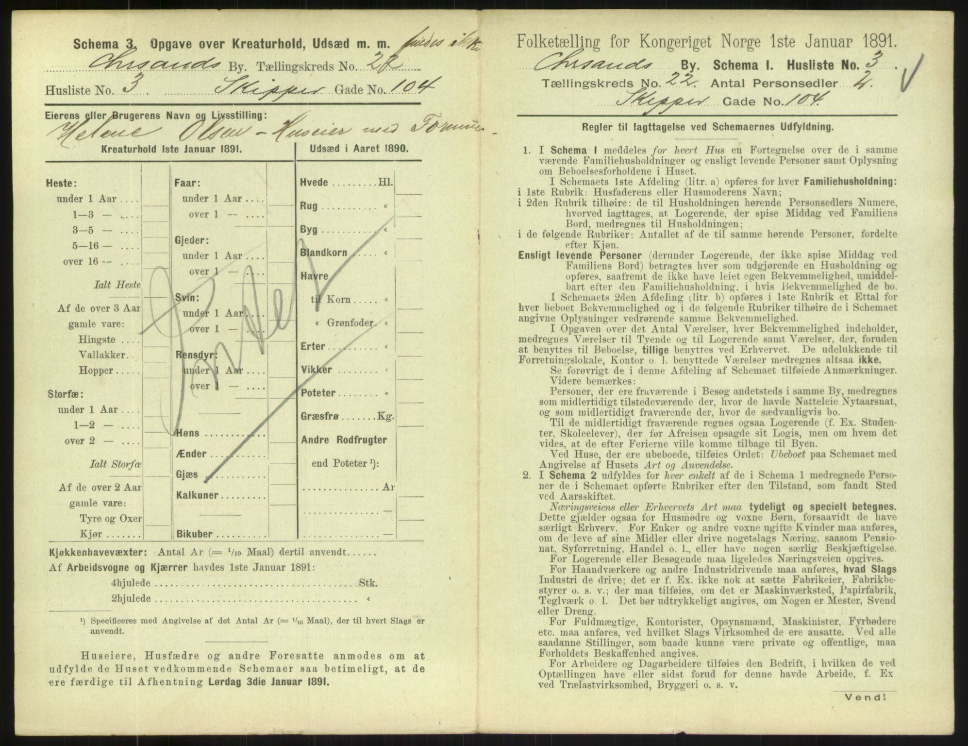 RA, 1891 census for 1001 Kristiansand, 1891, p. 1300