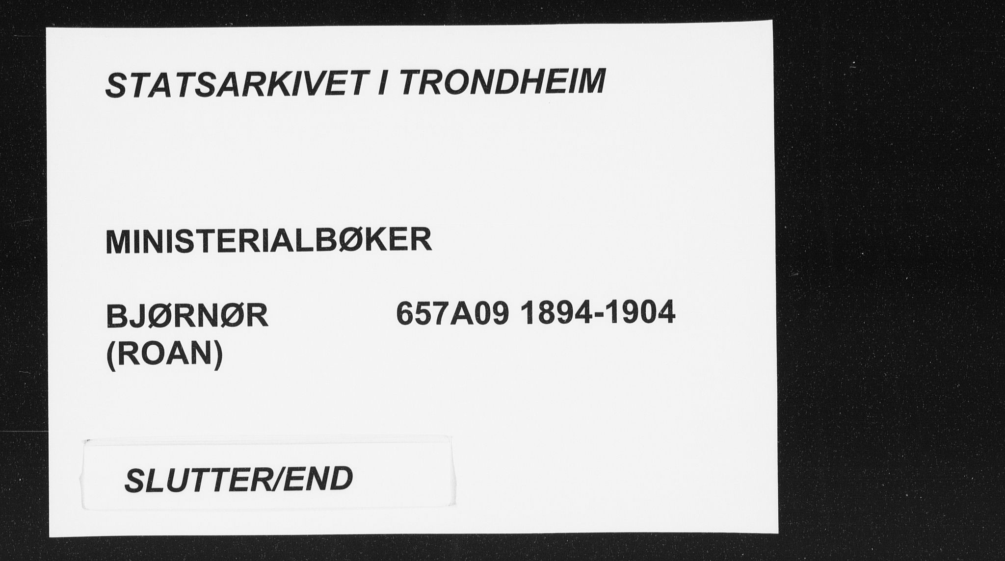 Ministerialprotokoller, klokkerbøker og fødselsregistre - Sør-Trøndelag, AV/SAT-A-1456/657/L0708: Parish register (official) no. 657A09, 1894-1904