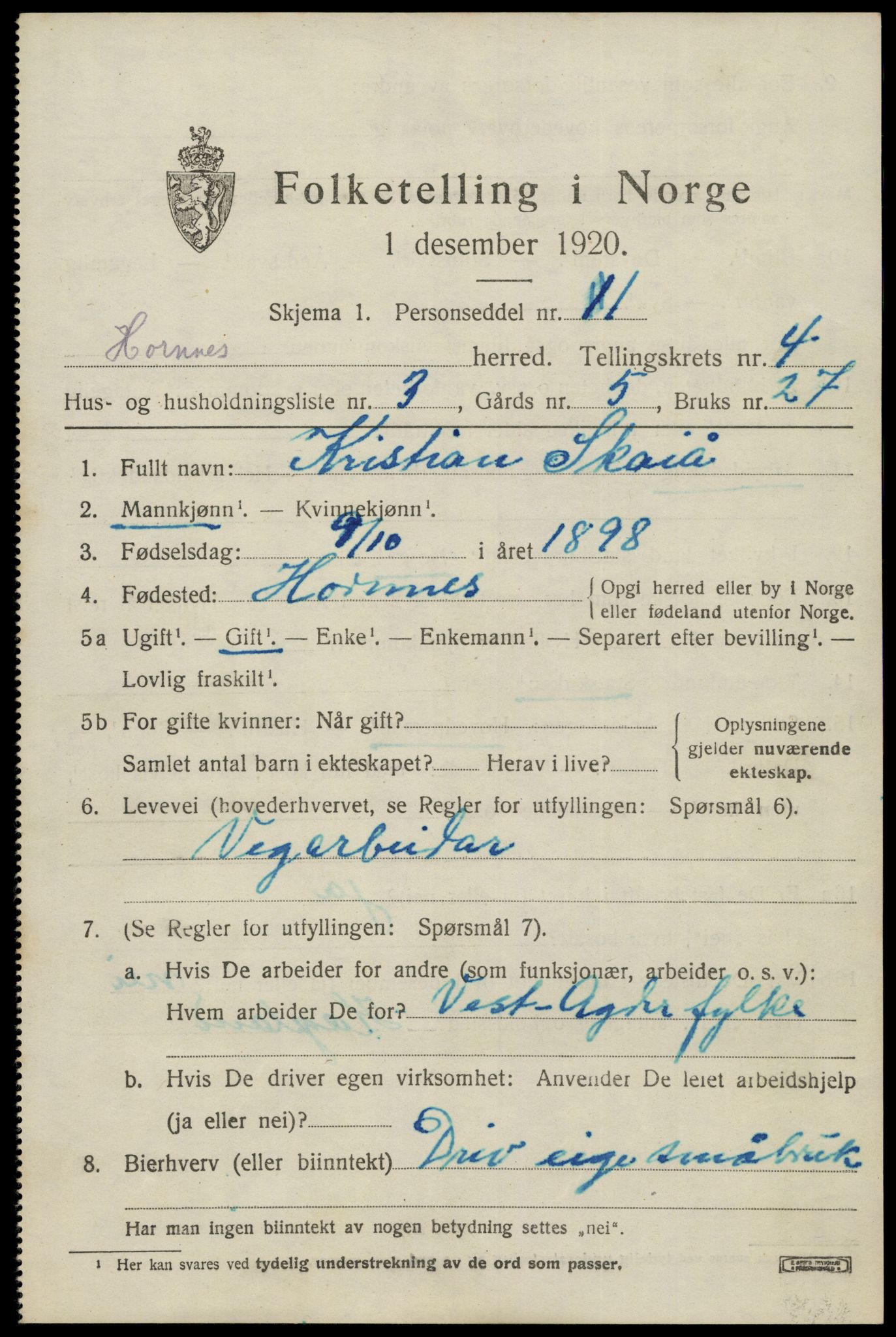 SAK, 1920 census for Hornnes, 1920, p. 1157