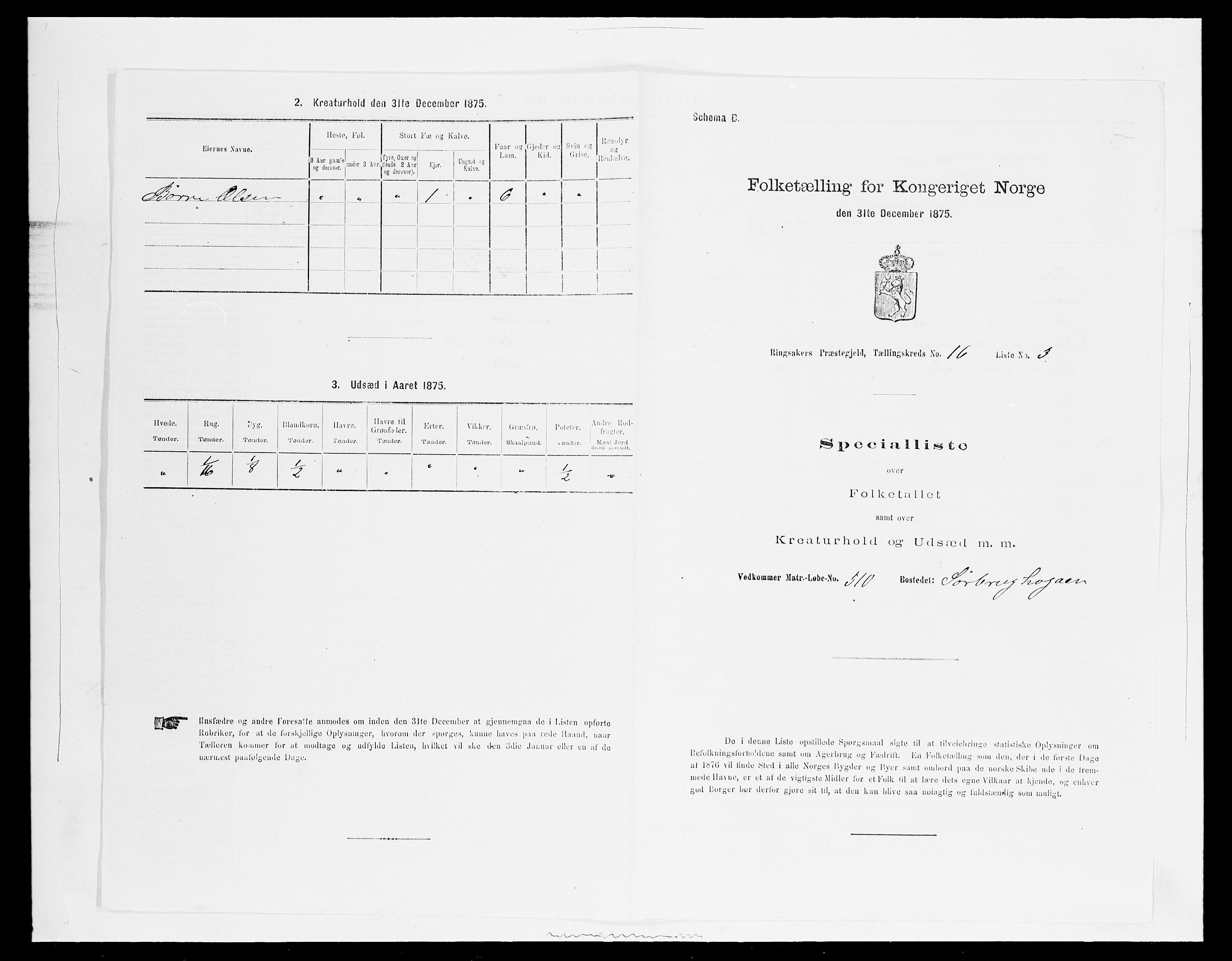 SAH, 1875 census for 0412P Ringsaker, 1875, p. 3244