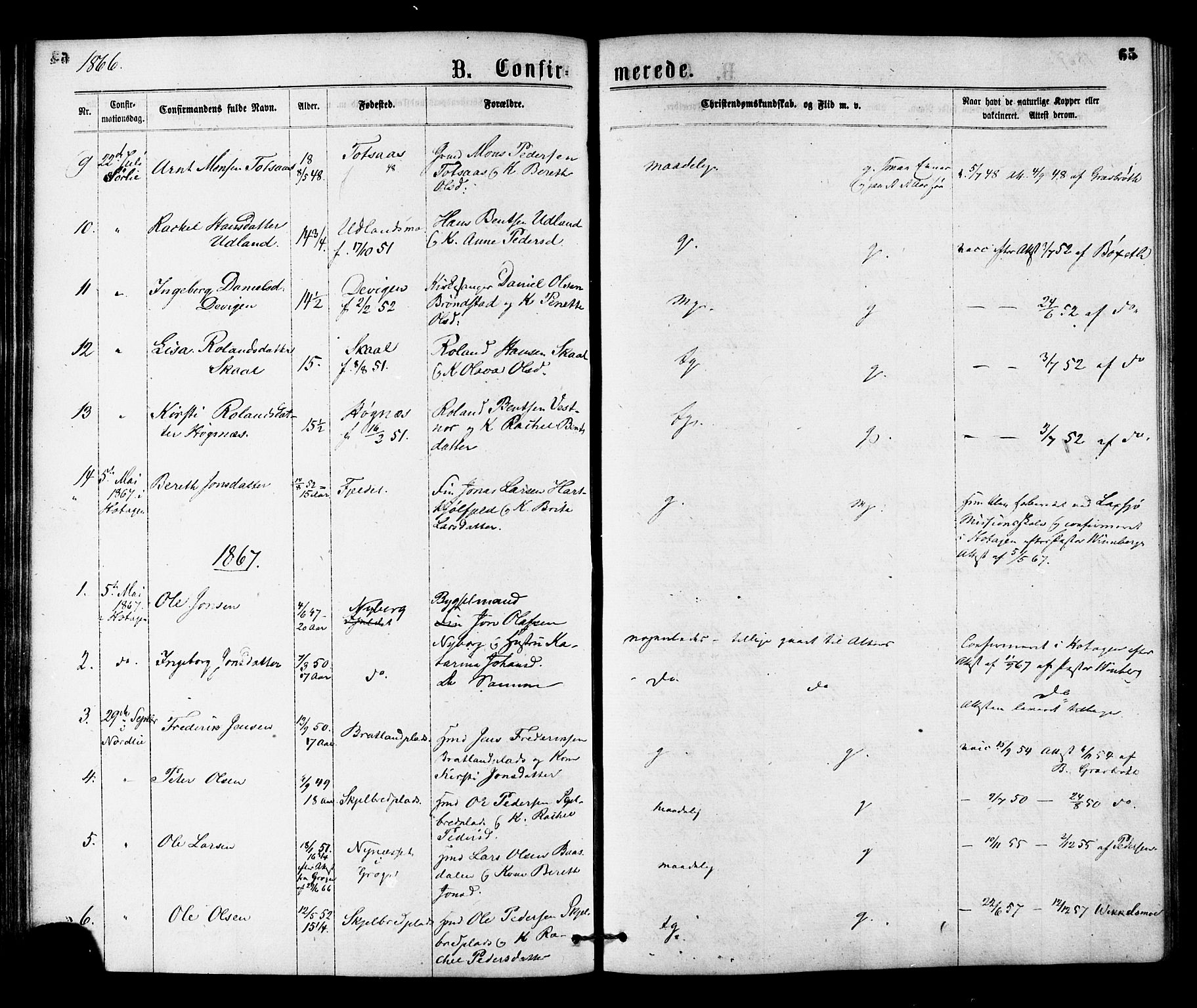 Ministerialprotokoller, klokkerbøker og fødselsregistre - Nord-Trøndelag, SAT/A-1458/755/L0493: Parish register (official) no. 755A02, 1865-1881, p. 65