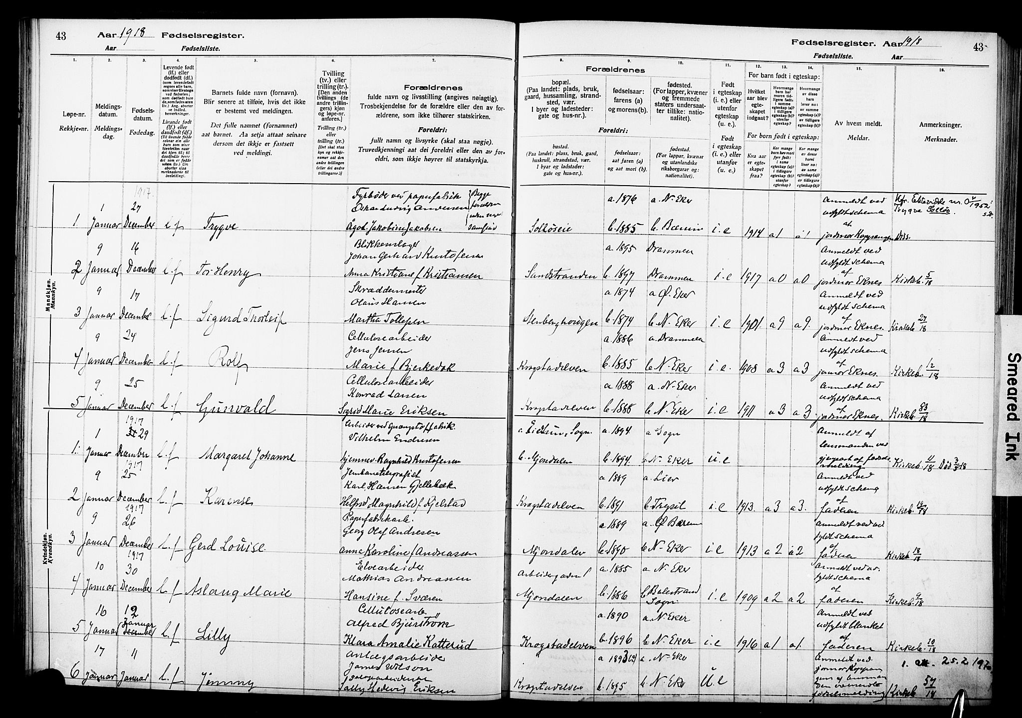 Nedre Eiker kirkebøker, AV/SAKO-A-612/J/Ja/L0001: Birth register no. 1, 1916-1925, p. 43