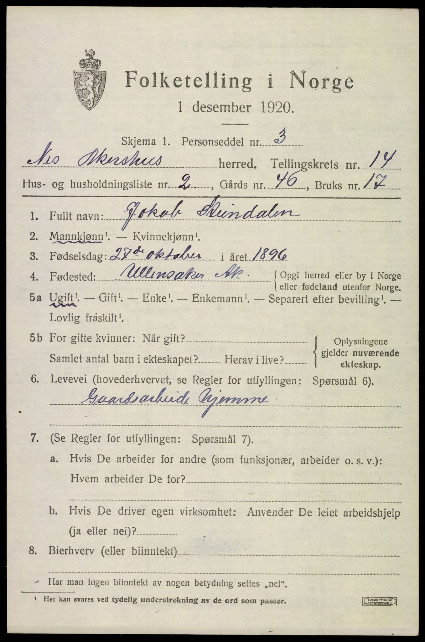 SAO, 1920 census for Nes, 1920, p. 13960