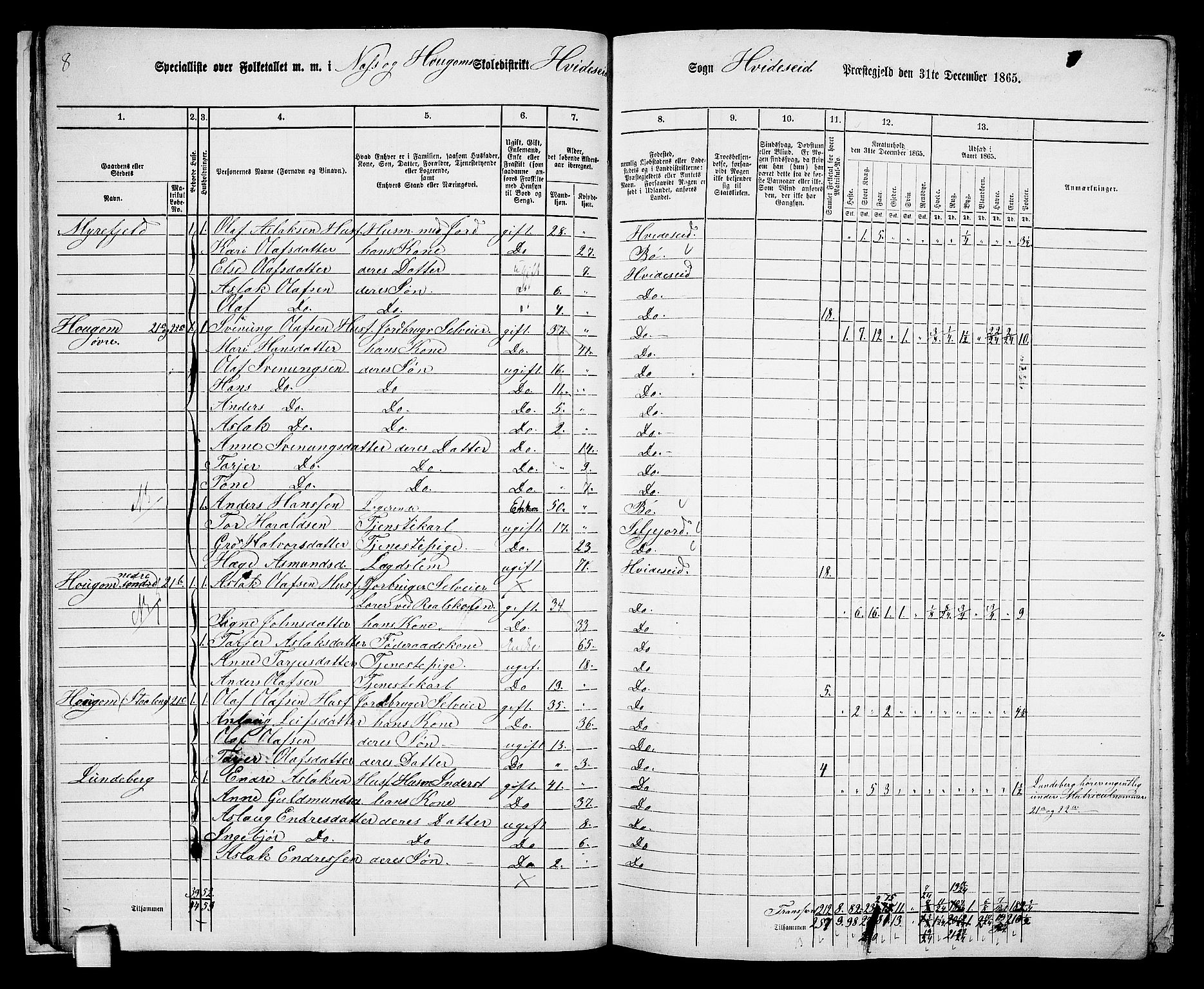 RA, 1865 census for Kviteseid, 1865, p. 19