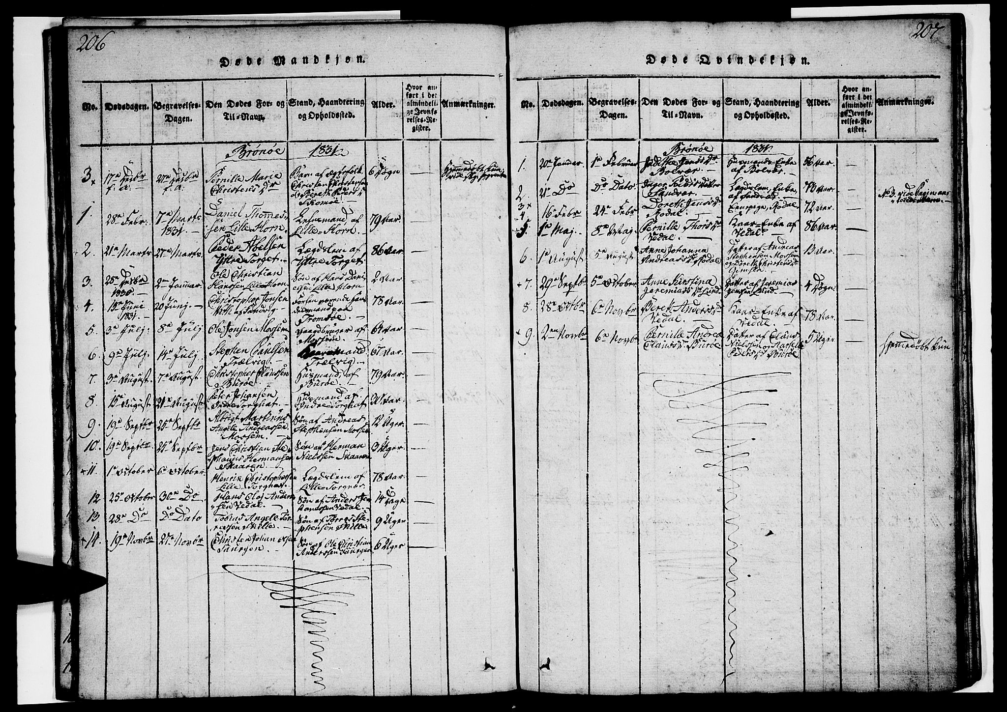 Ministerialprotokoller, klokkerbøker og fødselsregistre - Nordland, AV/SAT-A-1459/813/L0197: Parish register (official) no. 813A07, 1820-1833, p. 206-207