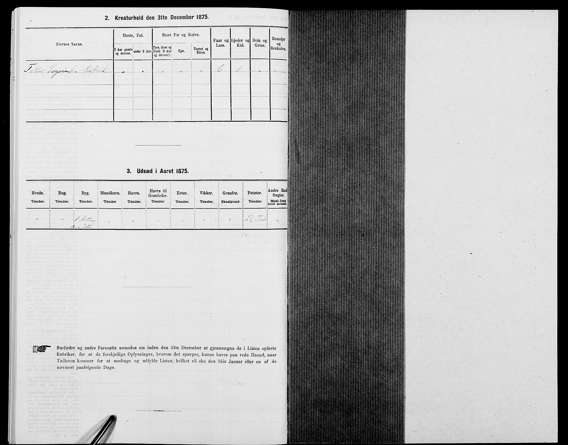 SAK, 1875 census for 1036P Fjotland, 1875, p. 297