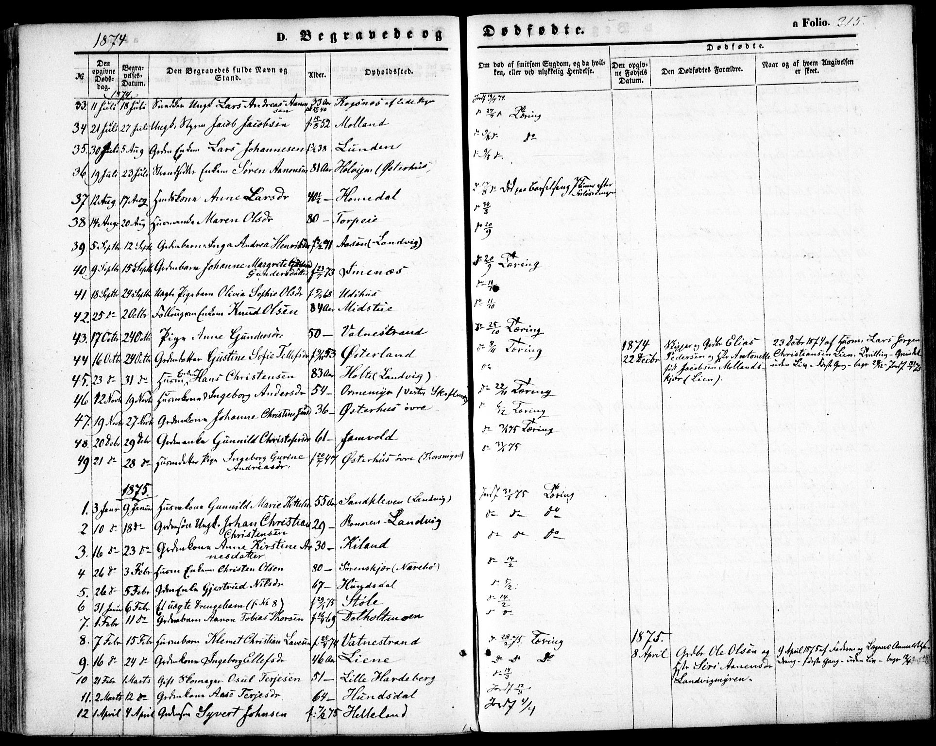 Hommedal sokneprestkontor, AV/SAK-1111-0023/F/Fa/Fab/L0005: Parish register (official) no. A 5, 1861-1877, p. 215