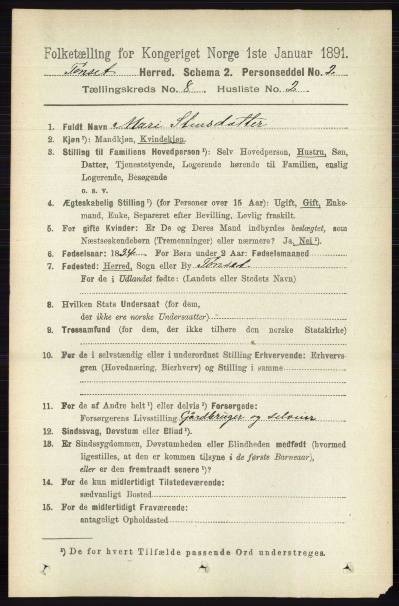 RA, 1891 census for 0437 Tynset, 1891, p. 2082