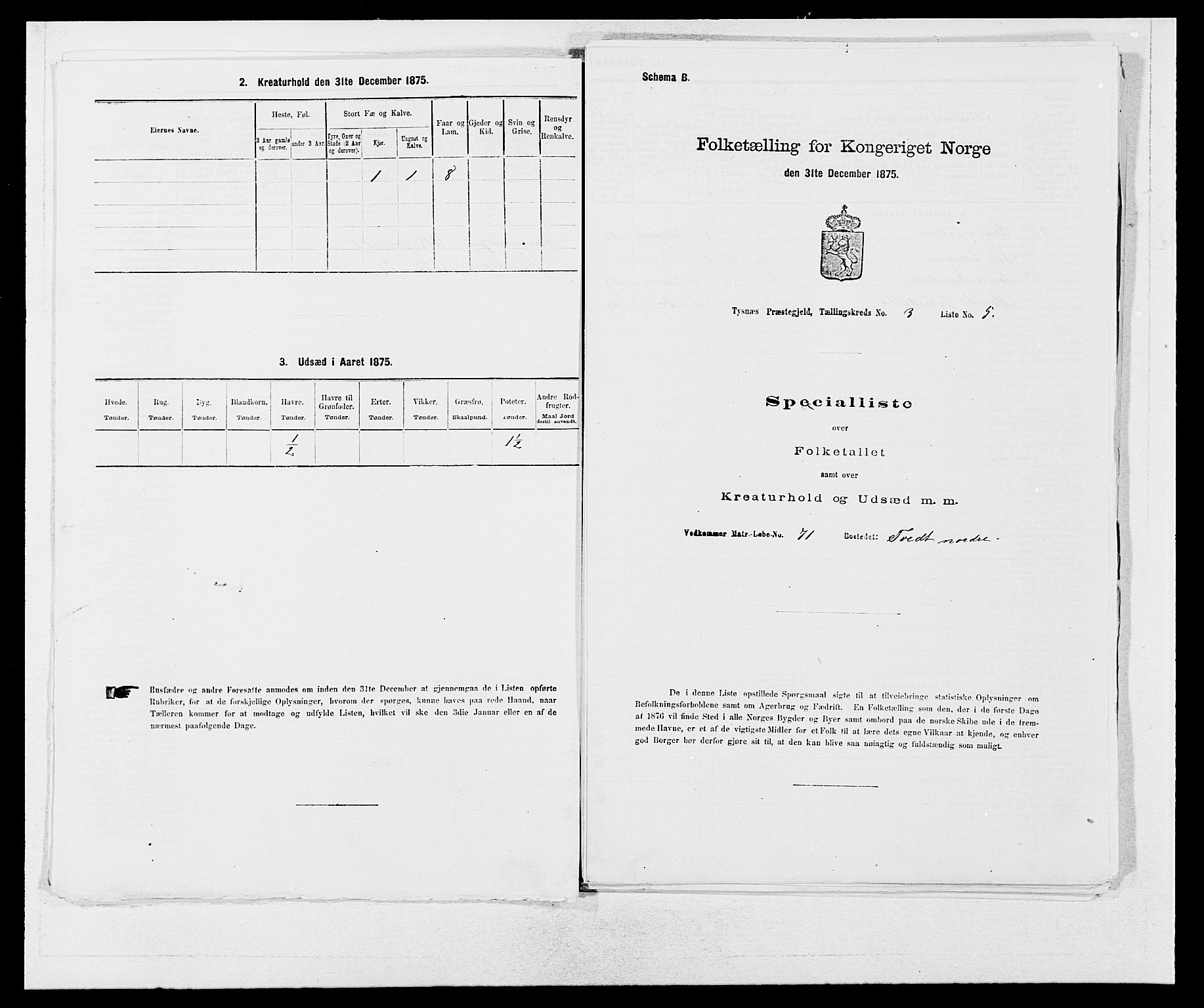 SAB, 1875 census for 1223P Tysnes, 1875, p. 228