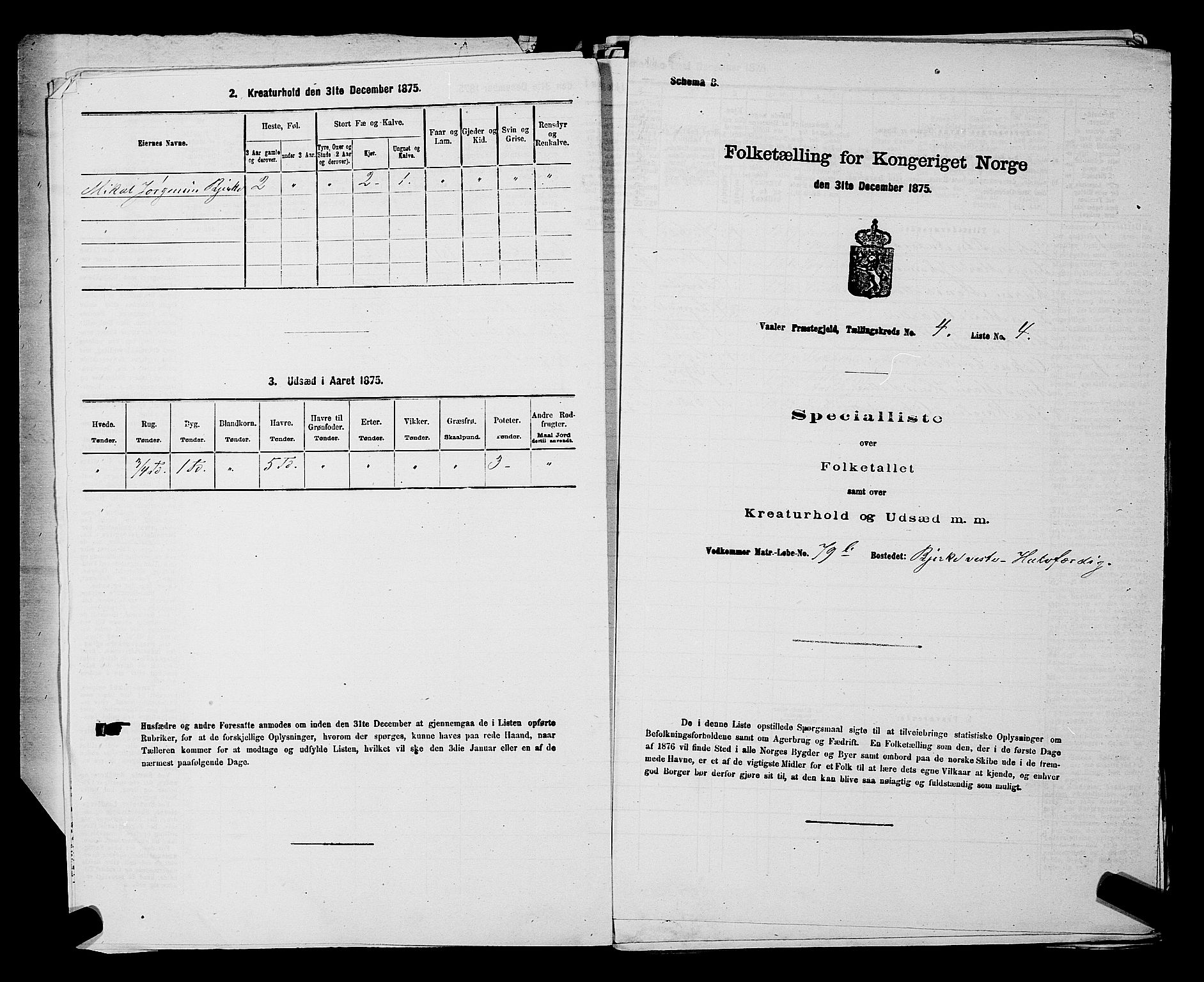 RA, 1875 census for 0137P Våler, 1875, p. 571