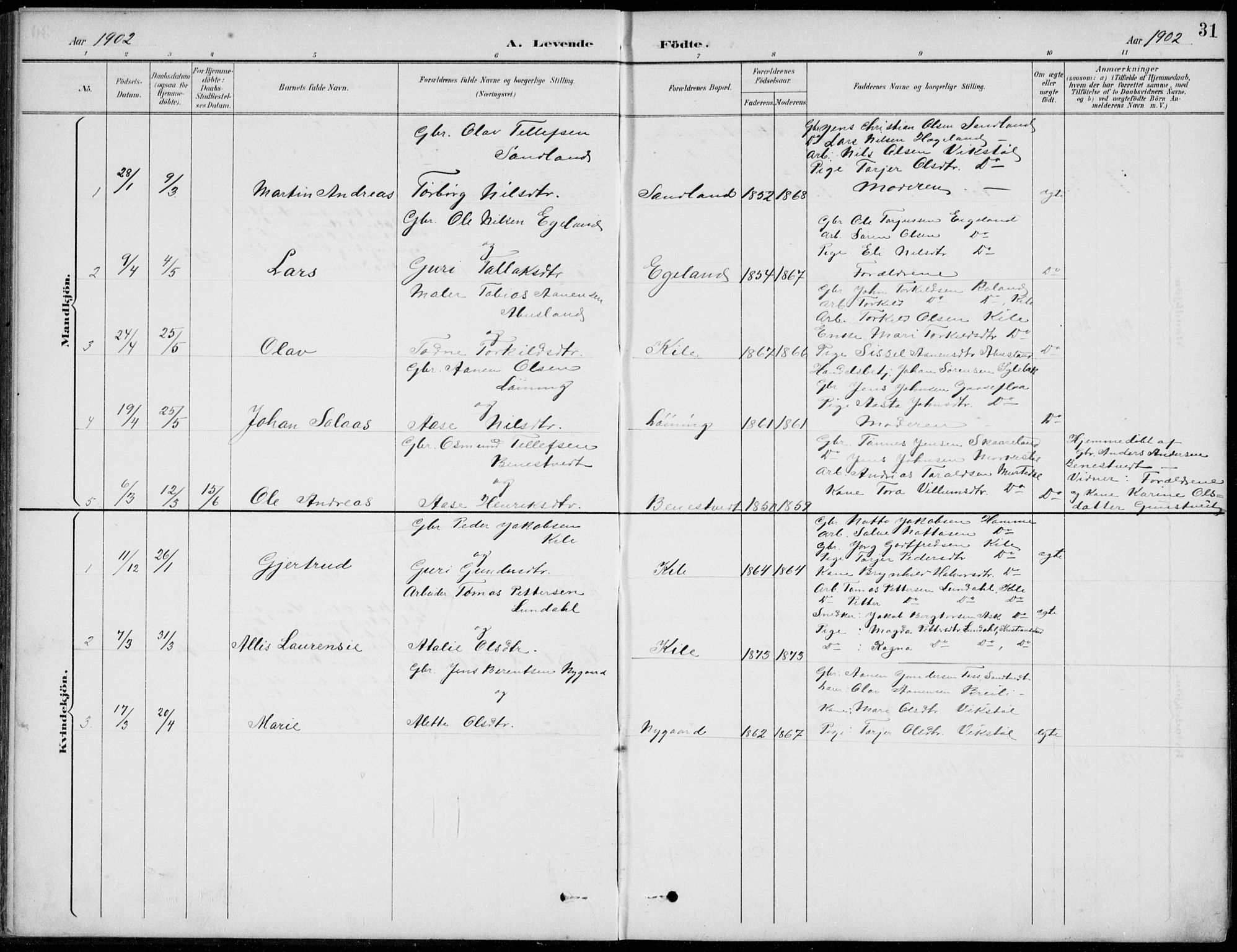 Vennesla sokneprestkontor, AV/SAK-1111-0045/Fb/Fba/L0003: Parish register (copy) no. B 3, 1890-1919, p. 31