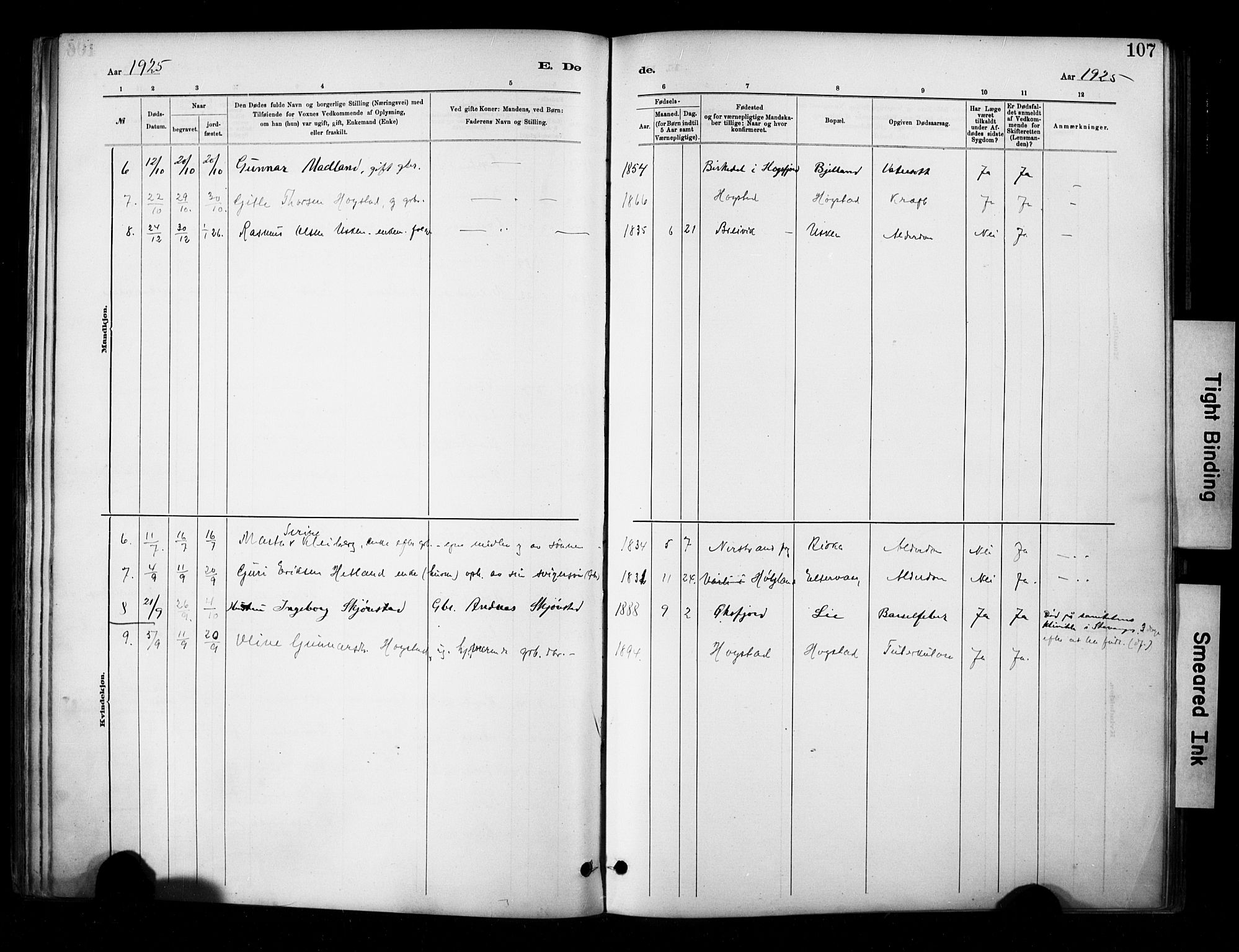 Hetland sokneprestkontor, SAST/A-101826/30/30BA/L0010: Parish register (official) no. A 10, 1882-1925, p. 107