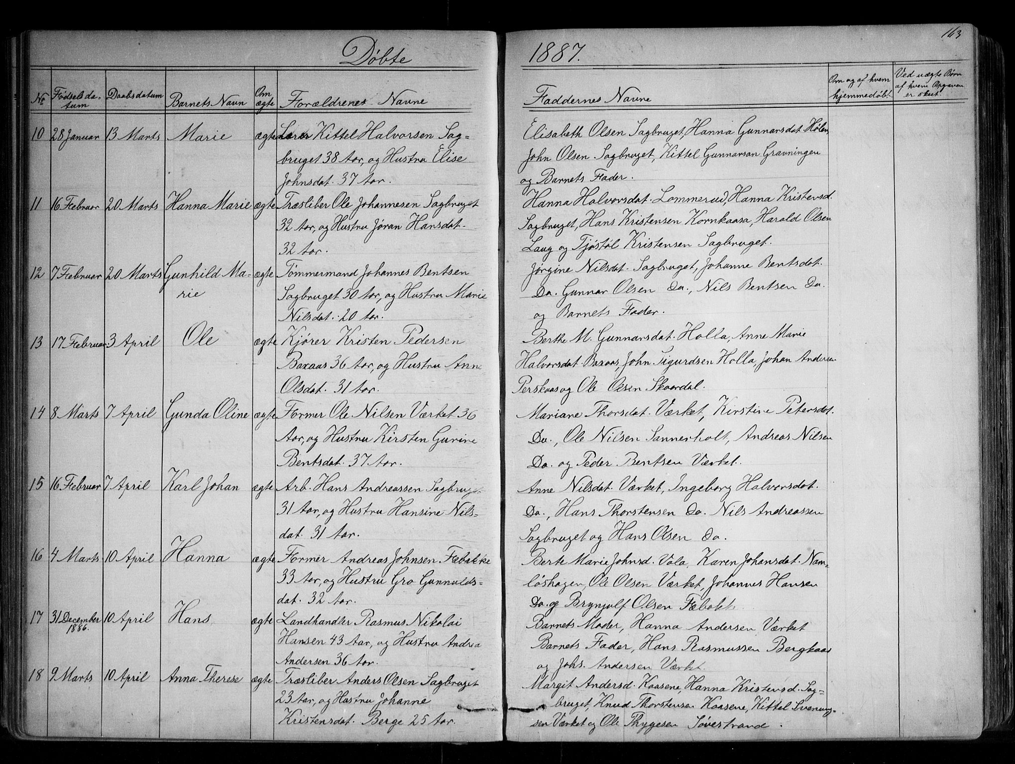 Holla kirkebøker, SAKO/A-272/G/Ga/L0004: Parish register (copy) no. I 4, 1867-1890, p. 163