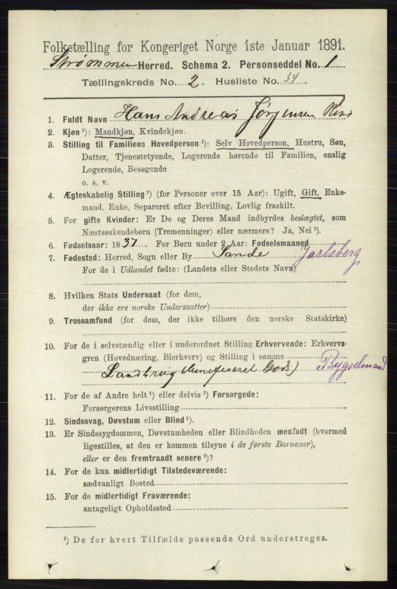 RA, 1891 census for 0711 Strømm, 1891, p. 890