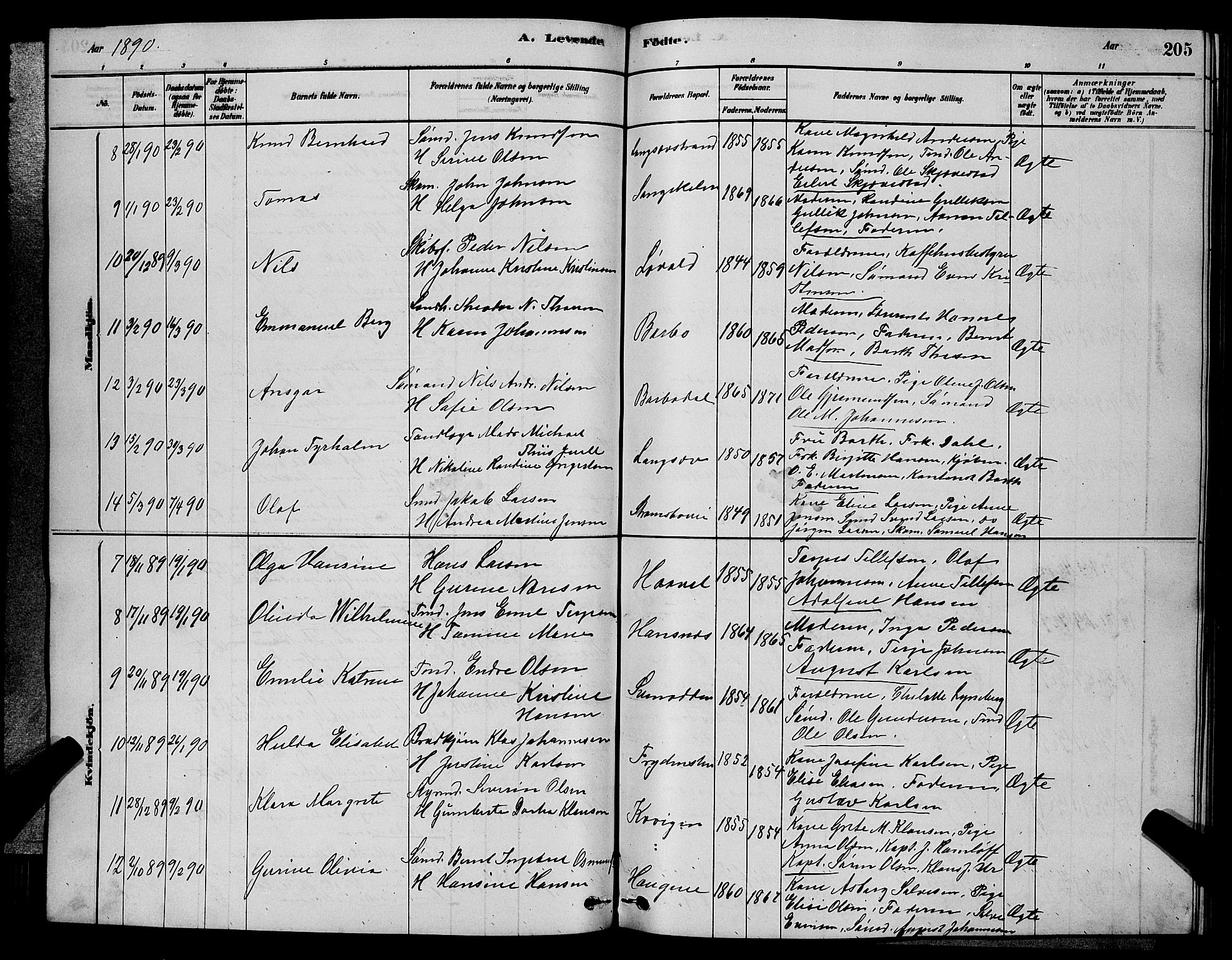 Barbu sokneprestkontor, AV/SAK-1111-0003/F/Fb/L0001: Parish register (copy) no. B 1, 1878-1890, p. 205