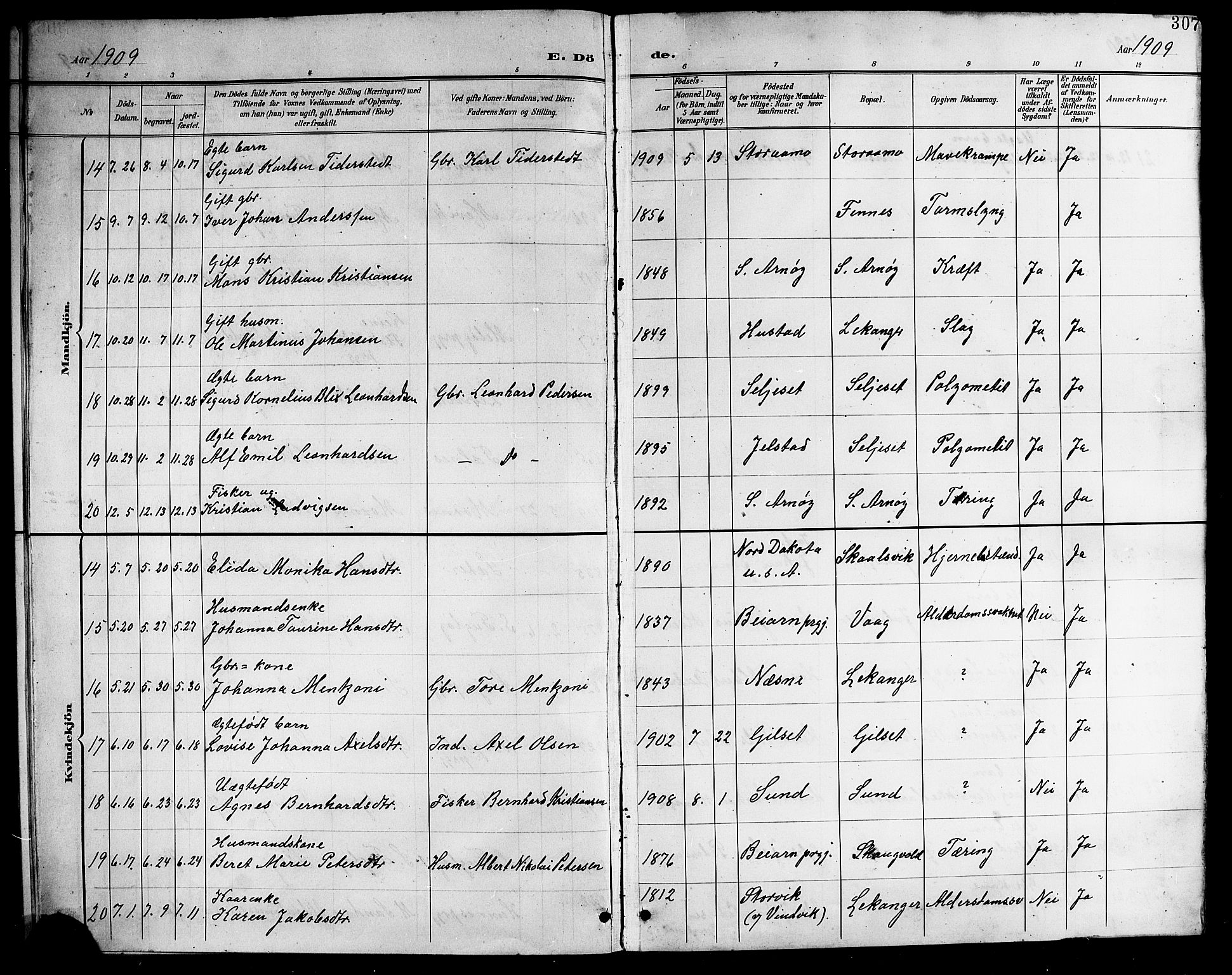 Ministerialprotokoller, klokkerbøker og fødselsregistre - Nordland, AV/SAT-A-1459/805/L0109: Parish register (copy) no. 805C05, 1900-1911, p. 307