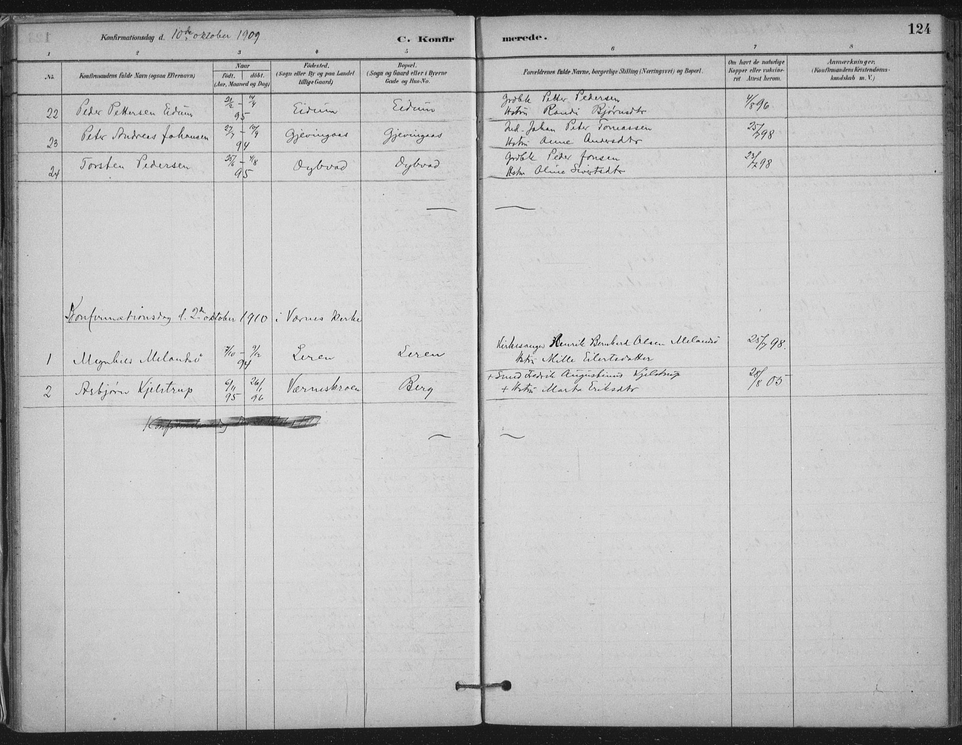 Ministerialprotokoller, klokkerbøker og fødselsregistre - Nord-Trøndelag, AV/SAT-A-1458/710/L0095: Parish register (official) no. 710A01, 1880-1914, p. 124