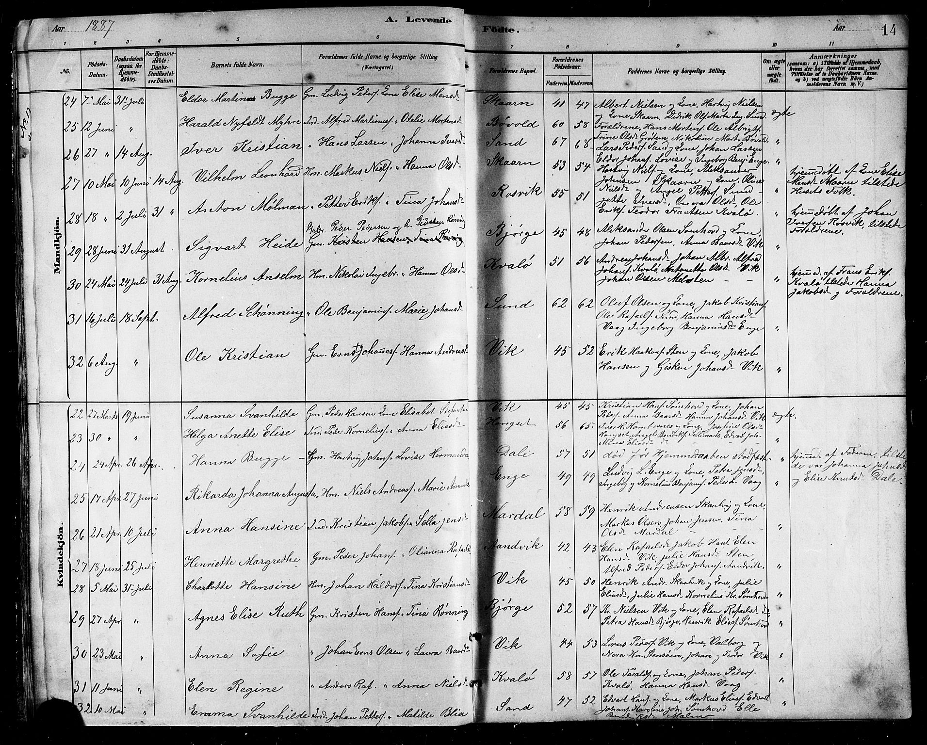 Ministerialprotokoller, klokkerbøker og fødselsregistre - Nordland, AV/SAT-A-1459/812/L0188: Parish register (copy) no. 812C06, 1884-1912, p. 14