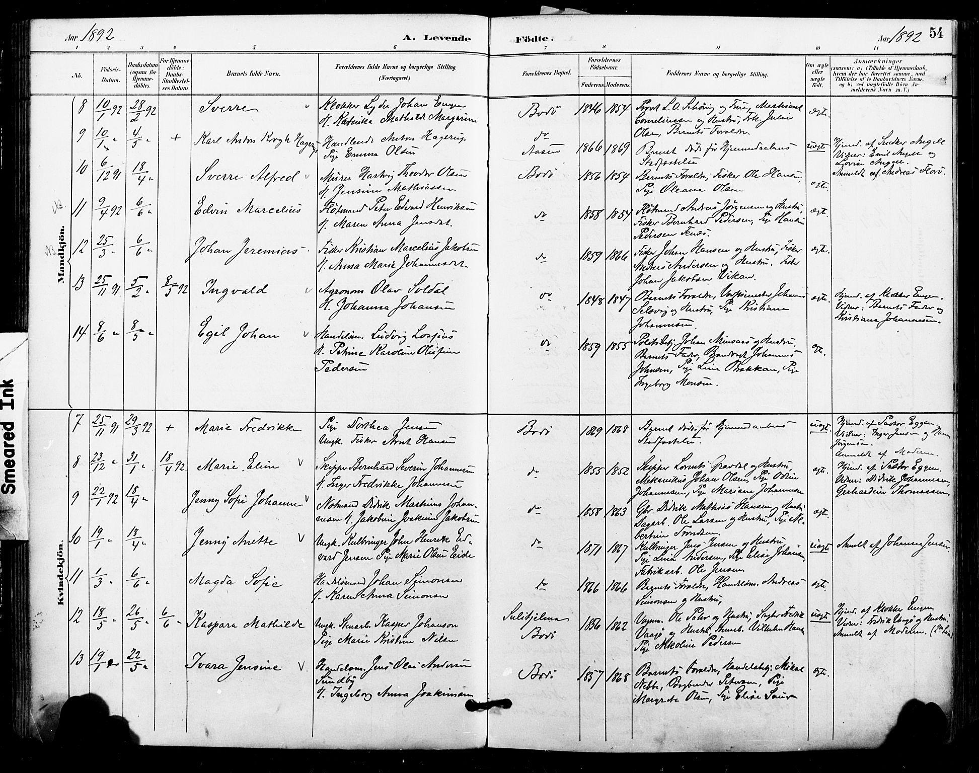 Ministerialprotokoller, klokkerbøker og fødselsregistre - Nordland, SAT/A-1459/801/L0010: Parish register (official) no. 801A10, 1888-1899, p. 54