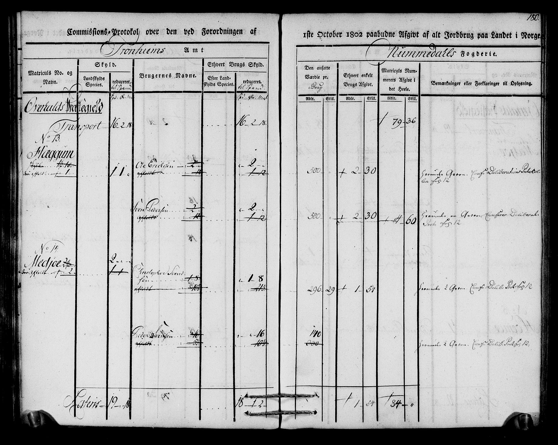 Rentekammeret inntil 1814, Realistisk ordnet avdeling, AV/RA-EA-4070/N/Ne/Nea/L0154: Namdalen fogderi. Kommisjonsprotokoll, 1803, p. 181