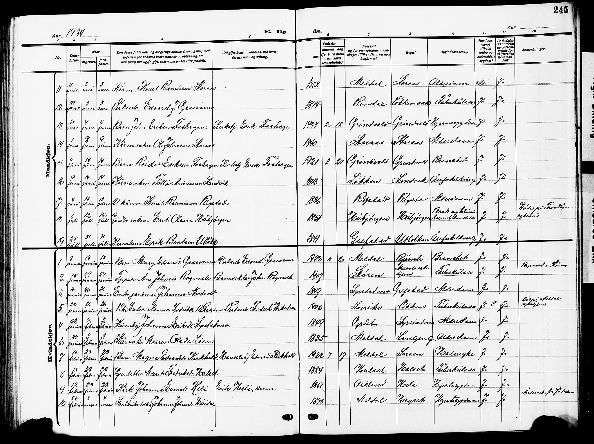 Ministerialprotokoller, klokkerbøker og fødselsregistre - Sør-Trøndelag, AV/SAT-A-1456/672/L0865: Parish register (copy) no. 672C04, 1914-1928, p. 245