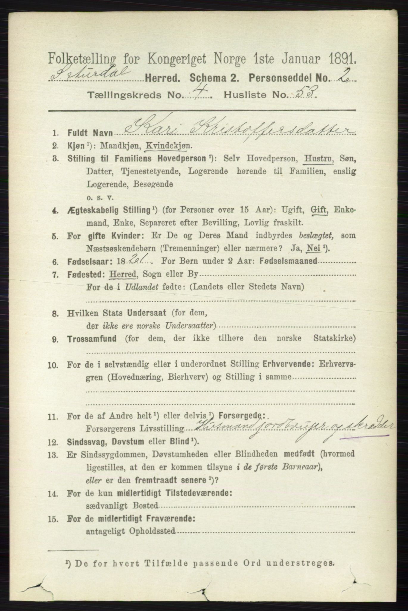 RA, 1891 census for 0540 Sør-Aurdal, 1891, p. 3063