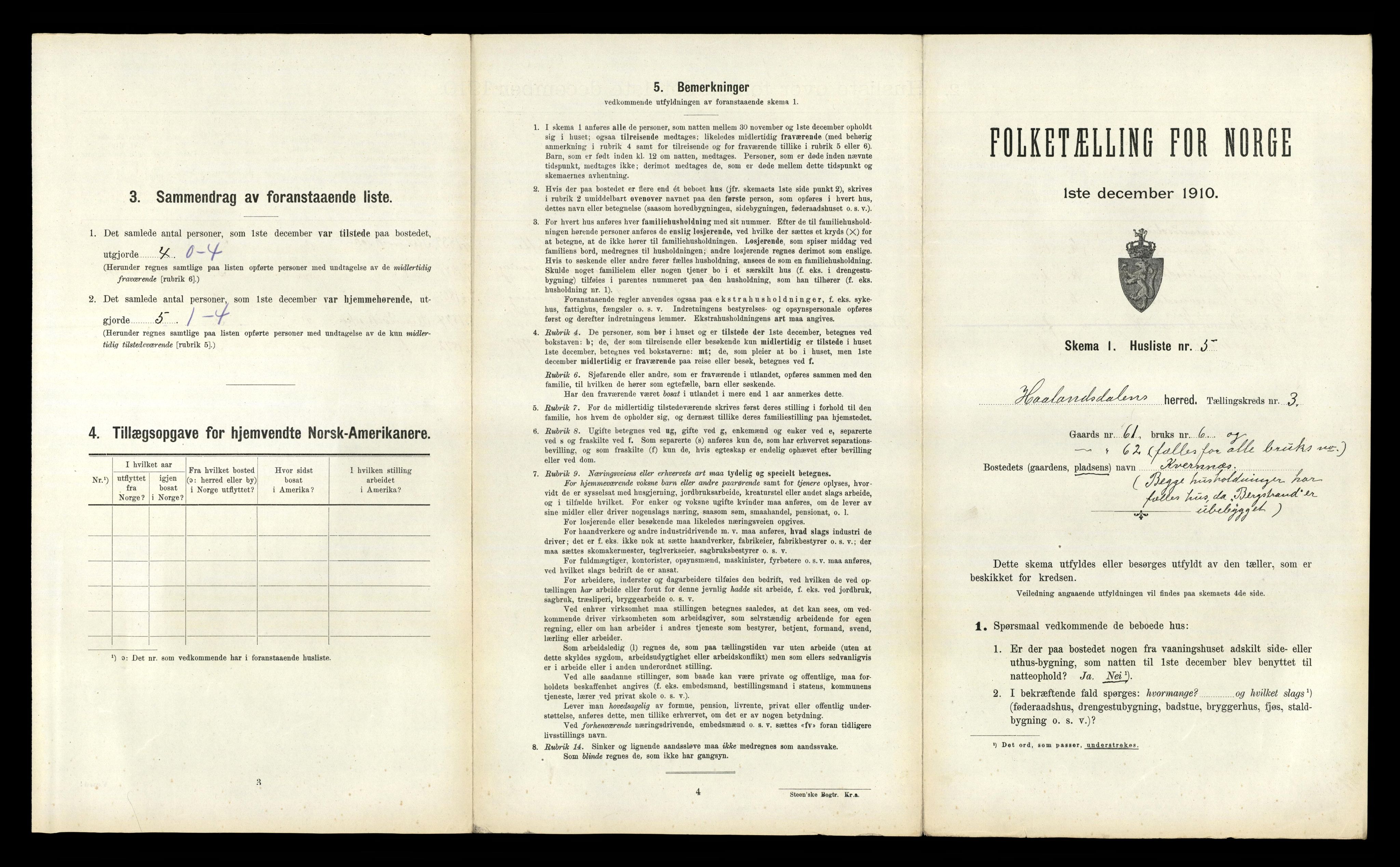 RA, 1910 census for Hålandsdal, 1910, p. 156