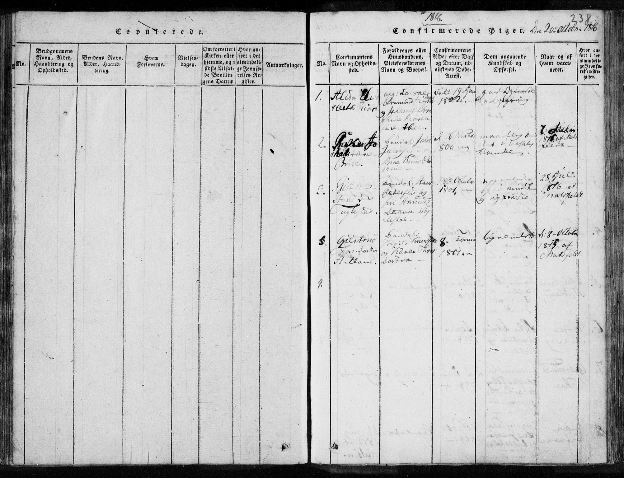 Eigersund sokneprestkontor, SAST/A-101807/S08/L0008: Parish register (official) no. A 8, 1816-1847, p. 238