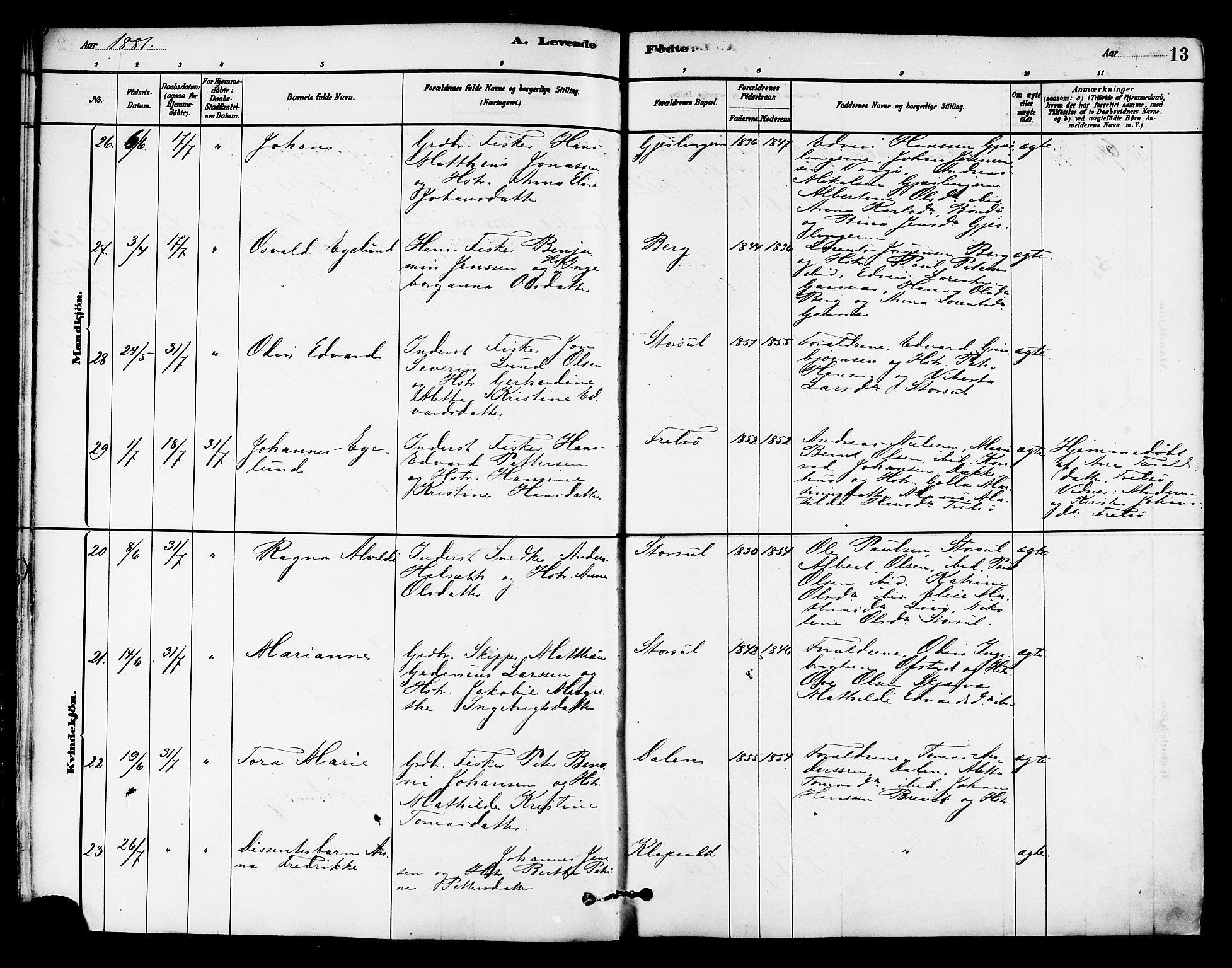 Ministerialprotokoller, klokkerbøker og fødselsregistre - Nord-Trøndelag, AV/SAT-A-1458/786/L0686: Parish register (official) no. 786A02, 1880-1887, p. 13