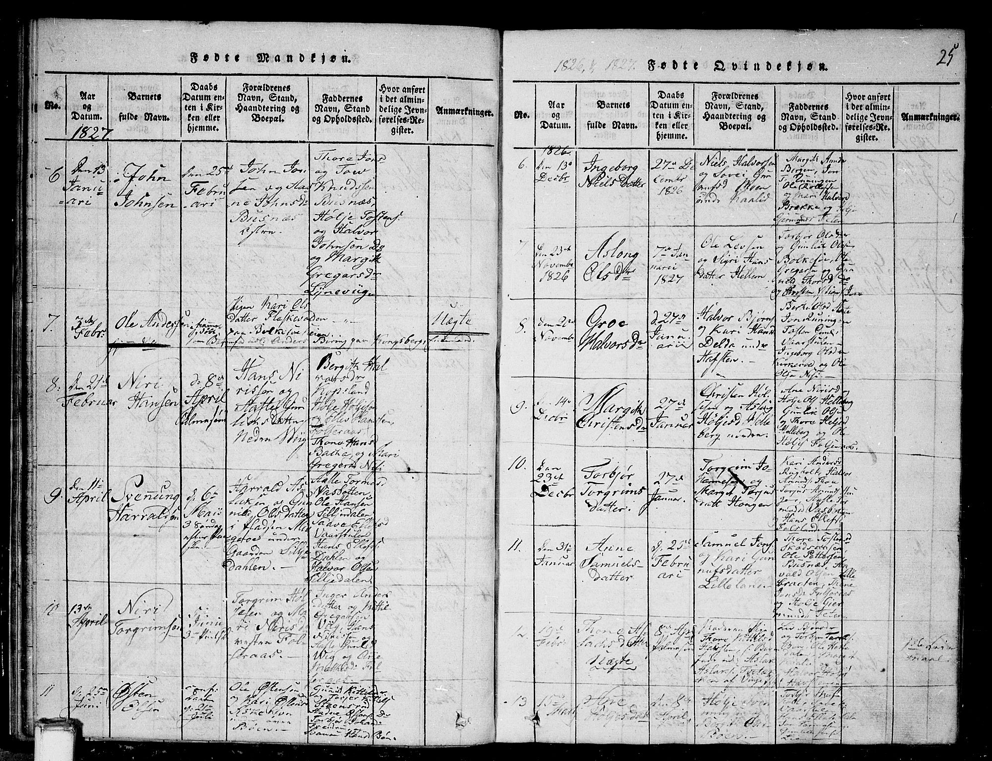 Gransherad kirkebøker, AV/SAKO-A-267/G/Ga/L0001: Parish register (copy) no. I 1, 1815-1842, p. 25