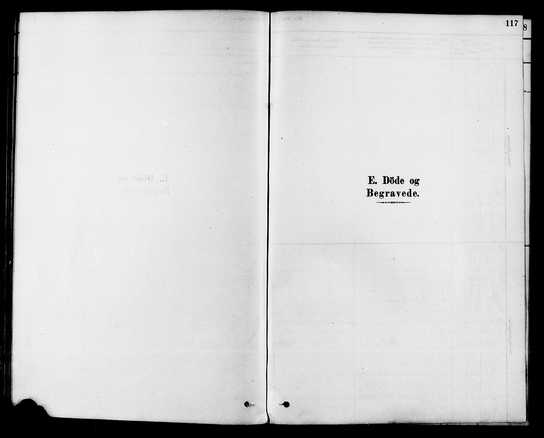 Modum kirkebøker, AV/SAKO-A-234/F/Fa/L0015: Parish register (official) no. 15 /1, 1877-1889, p. 117