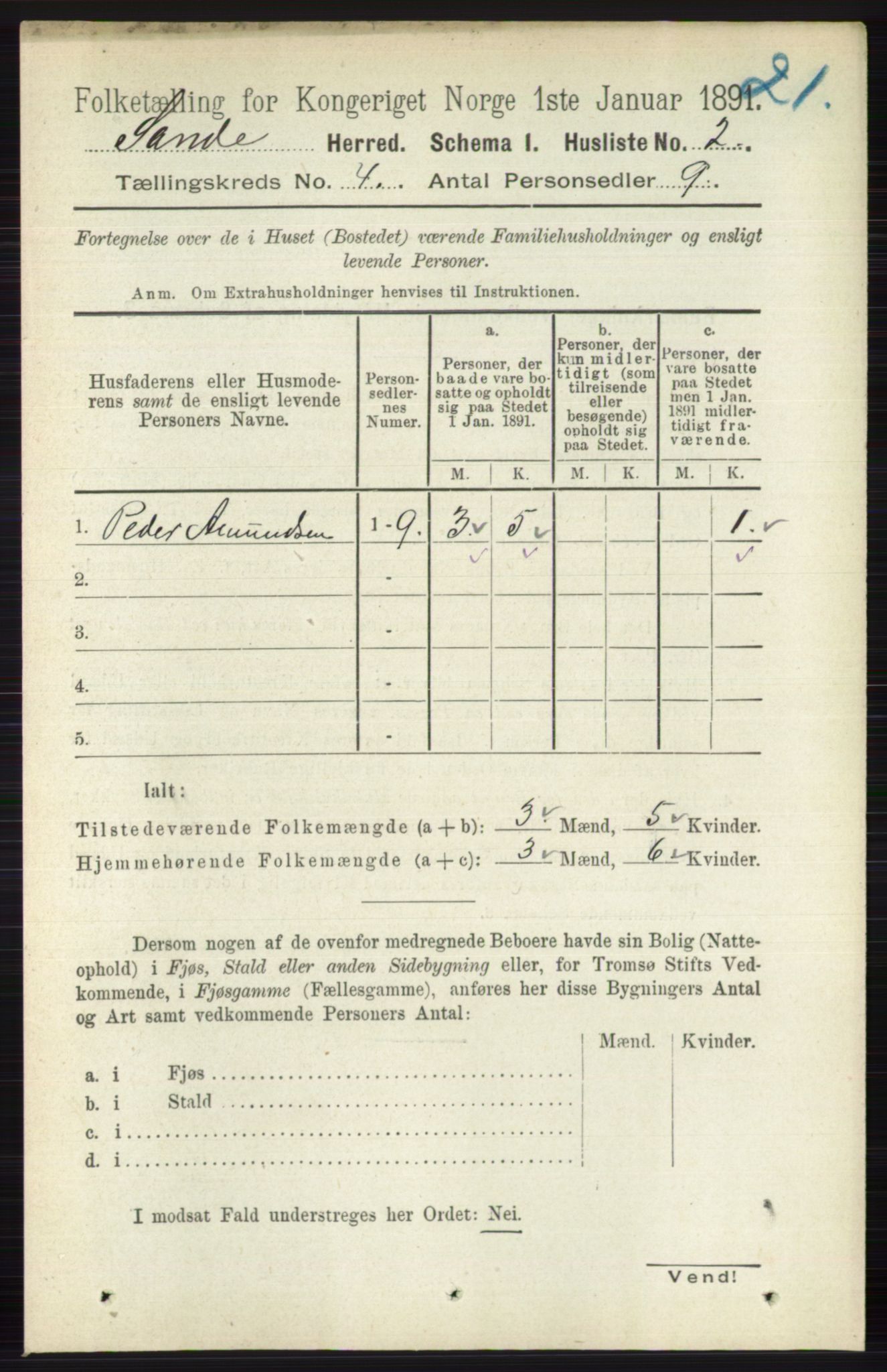 RA, 1891 census for 0713 Sande, 1891, p. 1385