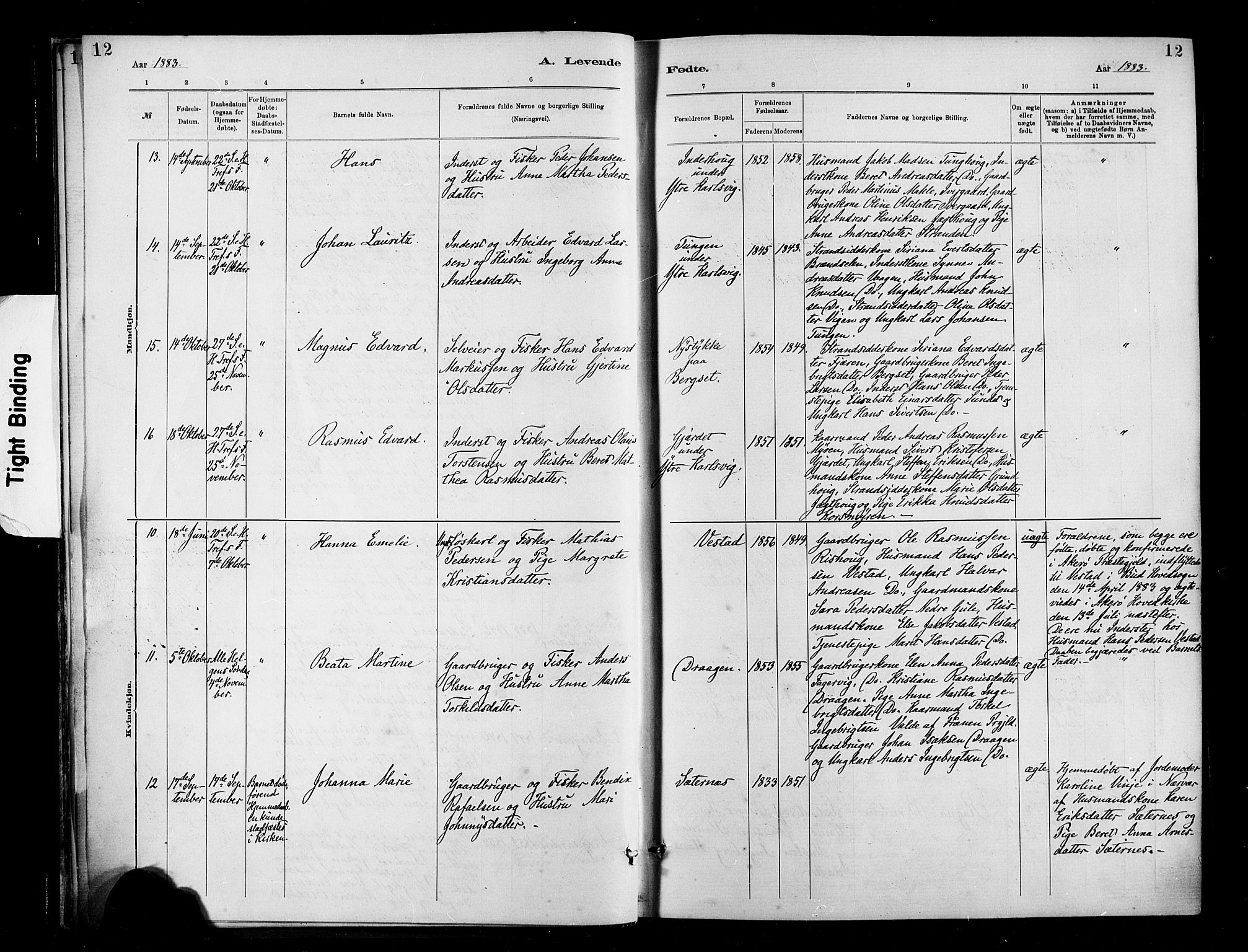 Ministerialprotokoller, klokkerbøker og fødselsregistre - Møre og Romsdal, AV/SAT-A-1454/566/L0769: Parish register (official) no. 566A08, 1881-1903, p. 12